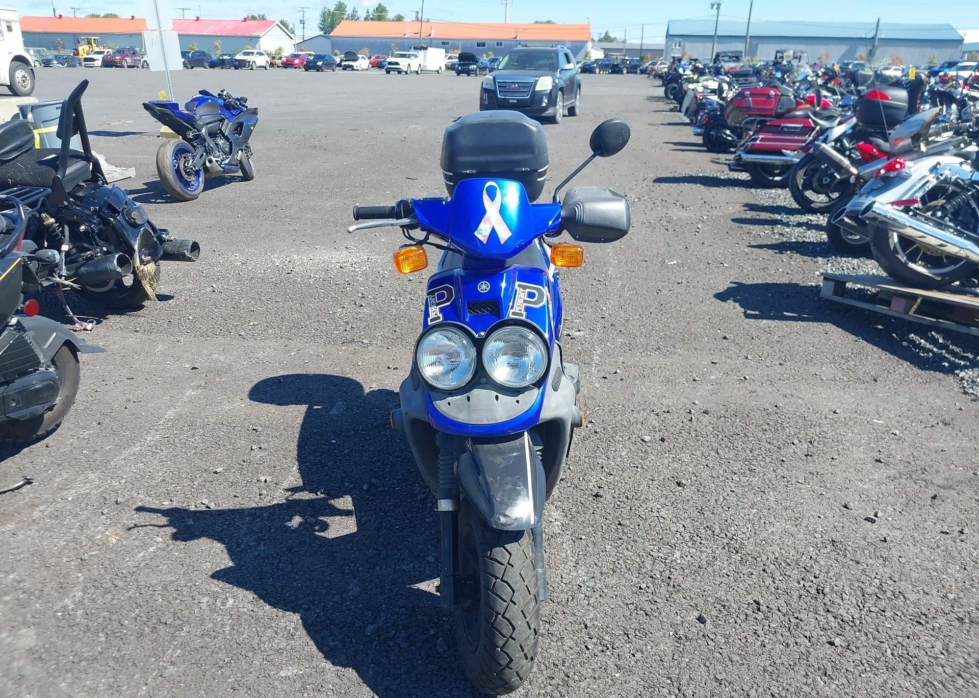 2009 YAMAHA YW50