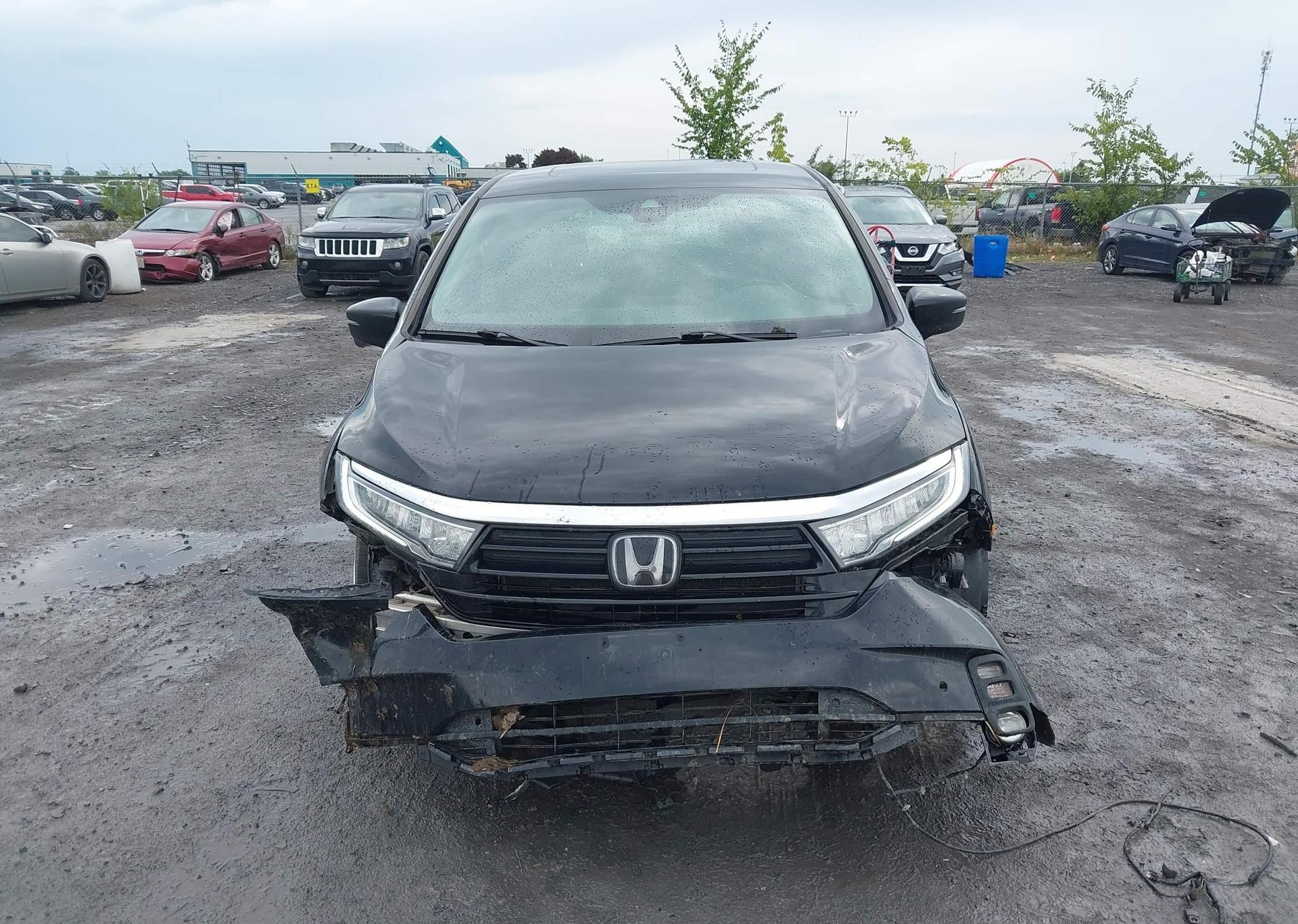 2021 HONDA ODYSSEY EXL