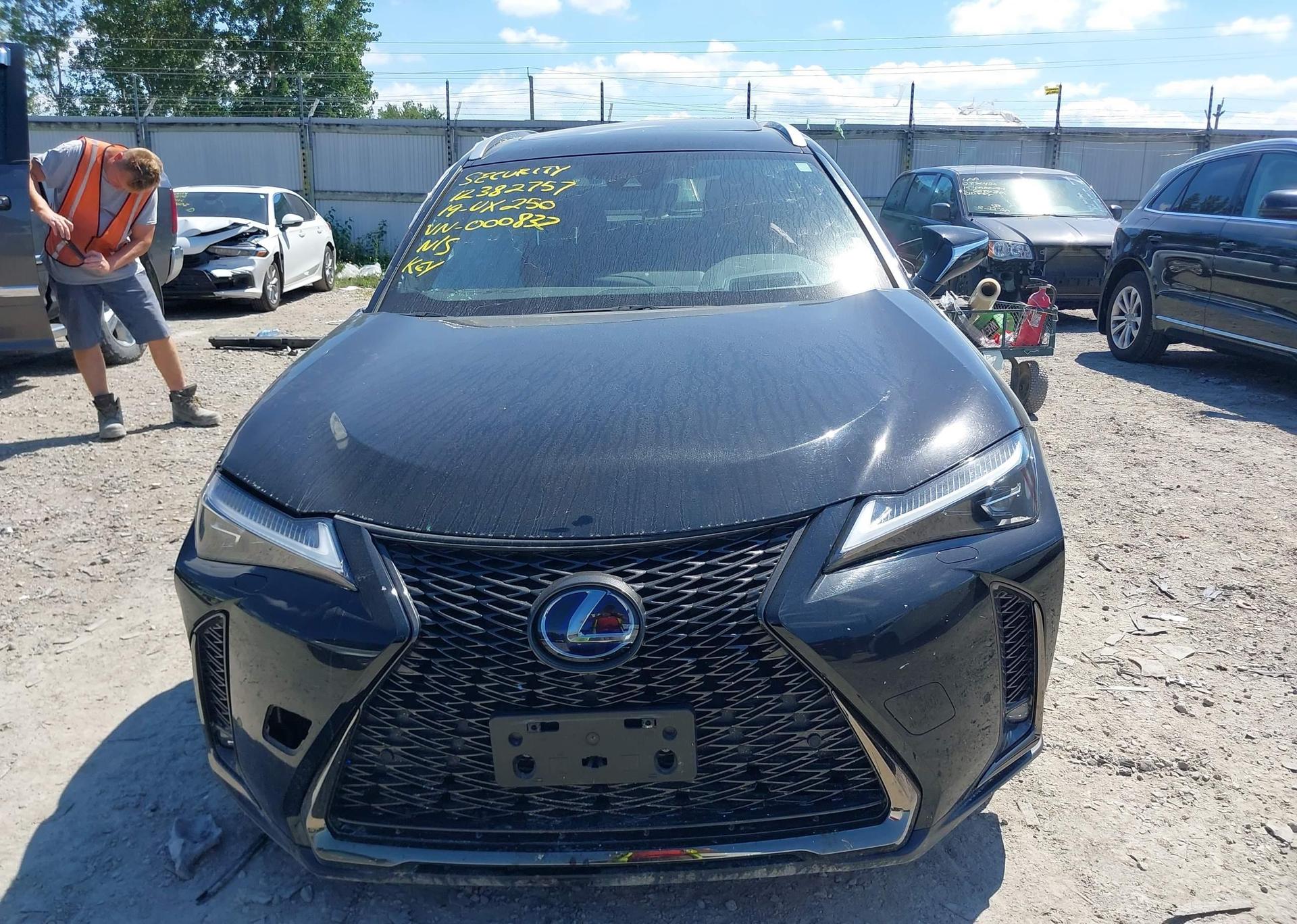 2019 LEXUS UX 250H