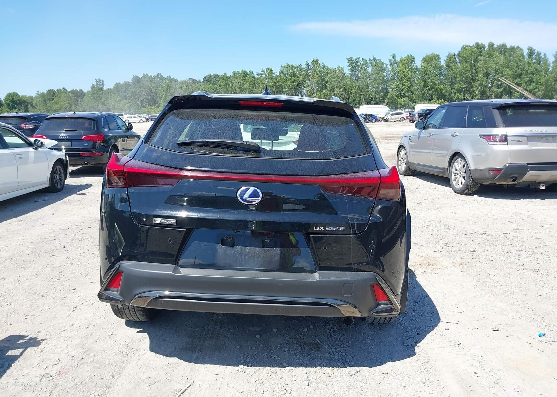 2019 LEXUS UX 250H