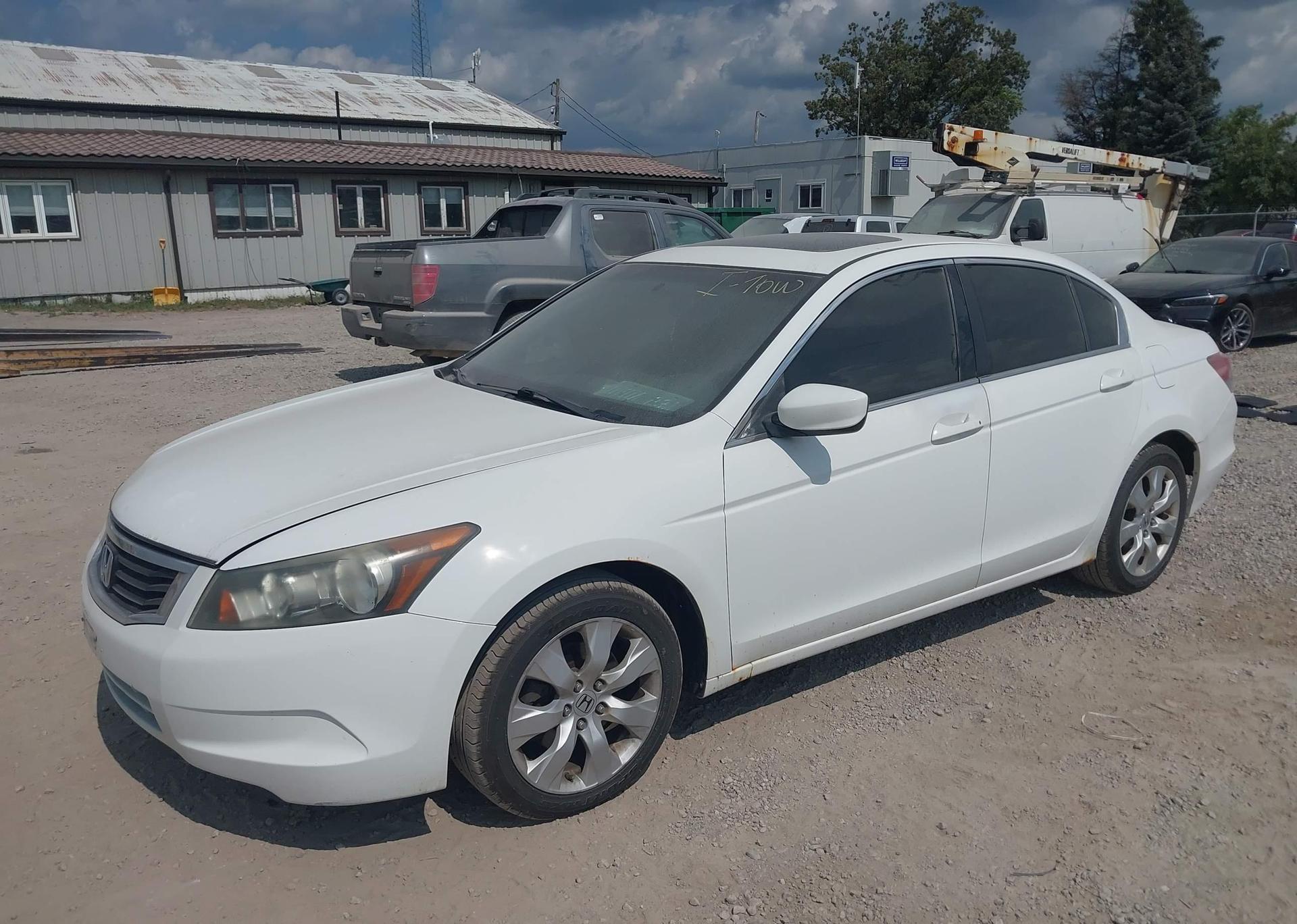 2010 HONDA ACCORD EX
