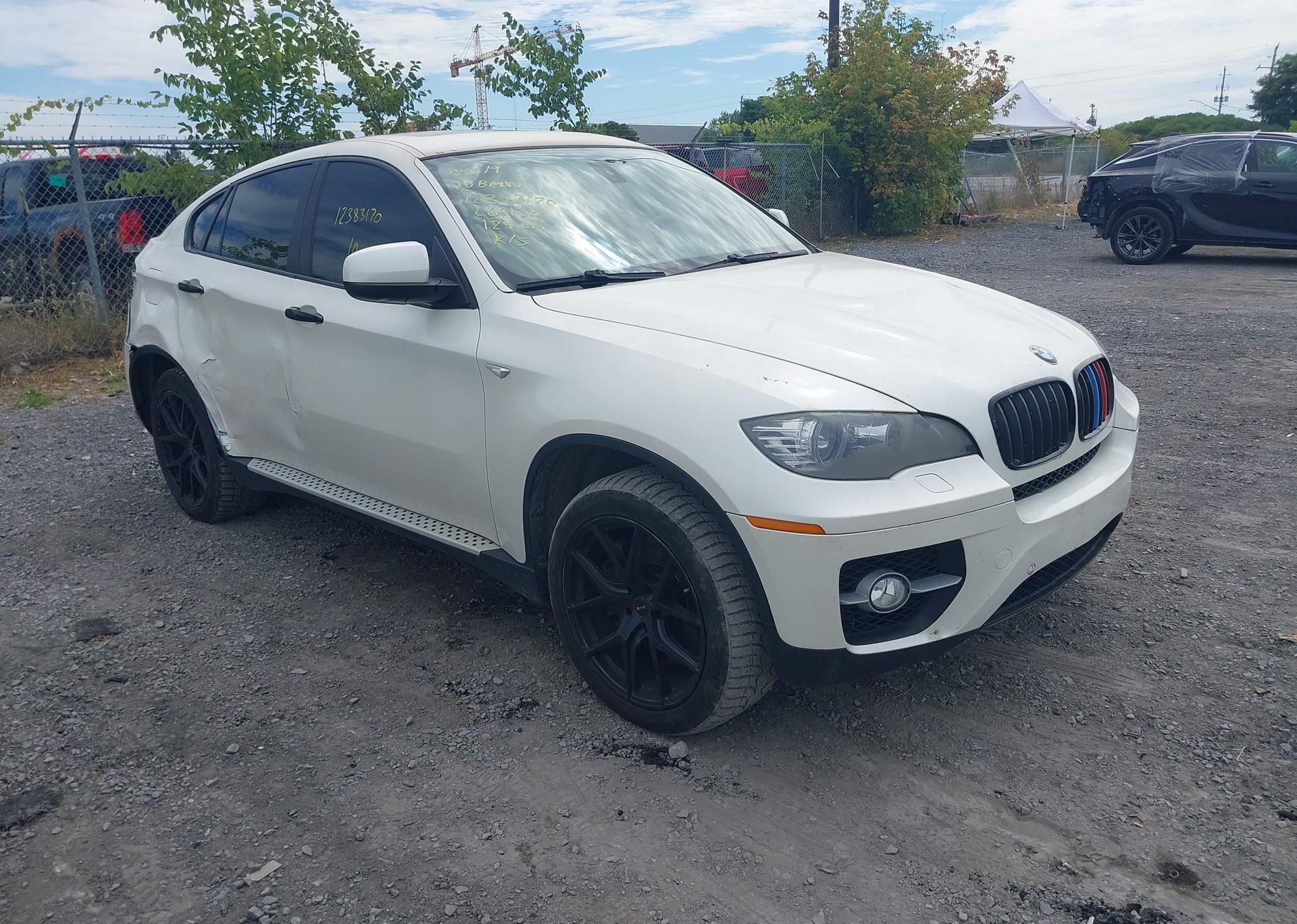 2010 BMW ACTIVEHYBRID X6