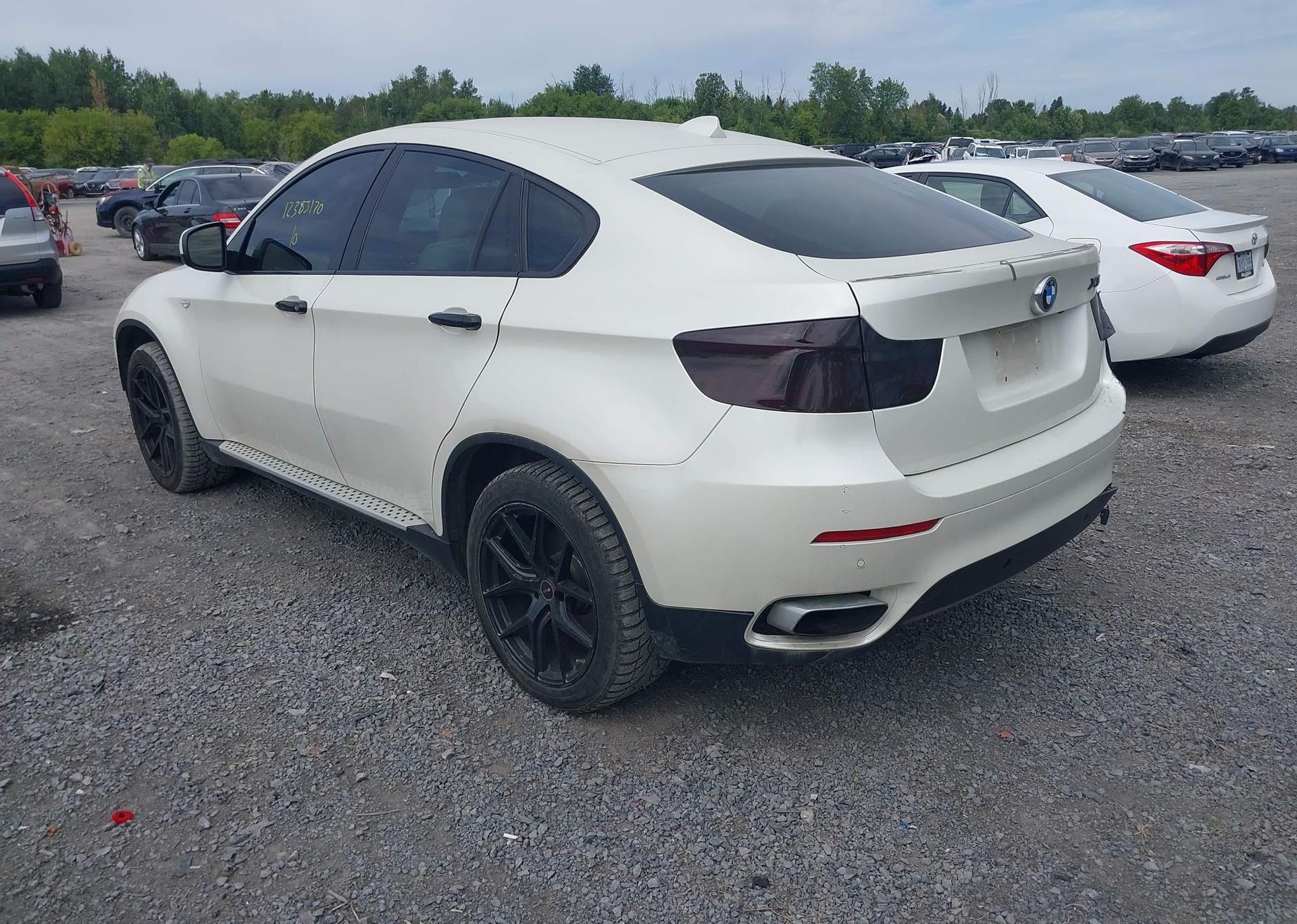2010 BMW ACTIVEHYBRID X6