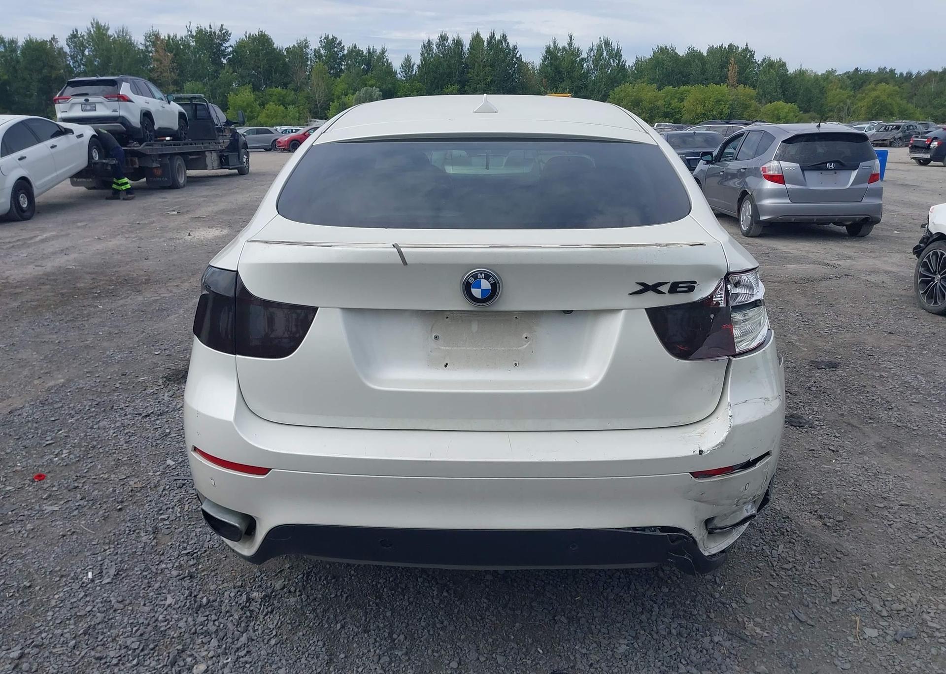 2010 BMW ACTIVEHYBRID X6