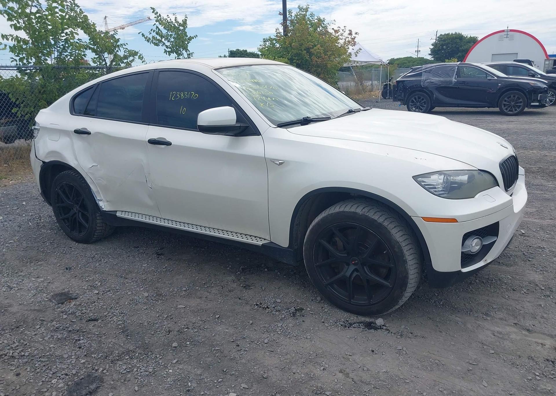 2010 BMW ACTIVEHYBRID X6