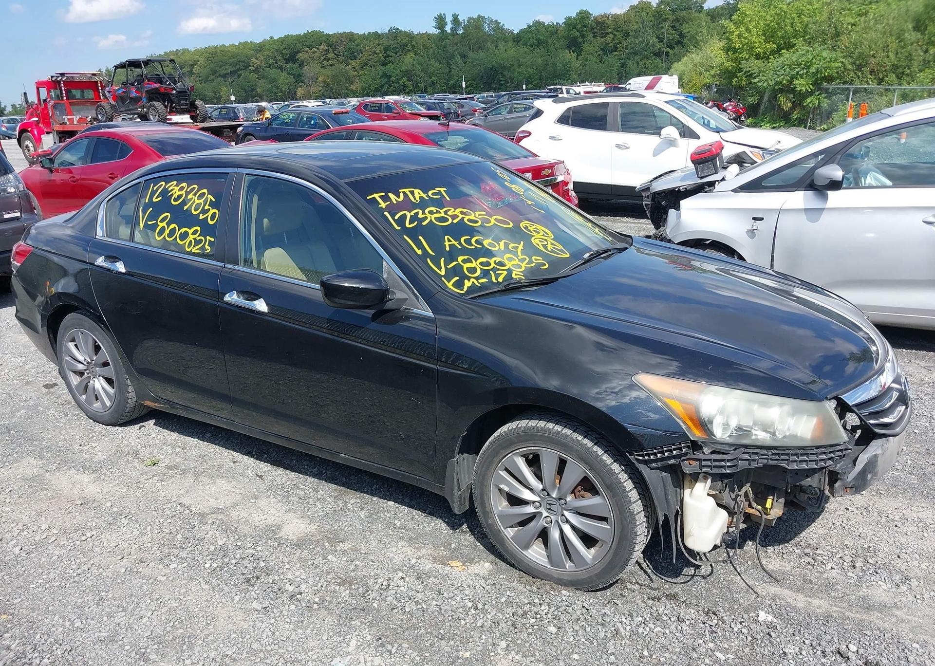 2011 HONDA ACCORD EXL