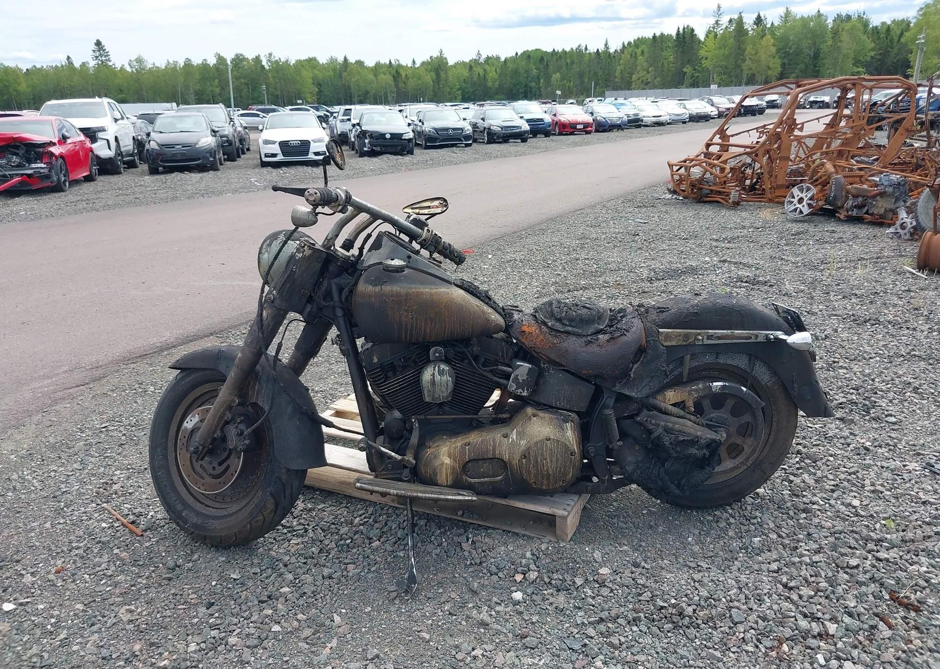 2002 HARLEY-DAVIDSON FLSTF
