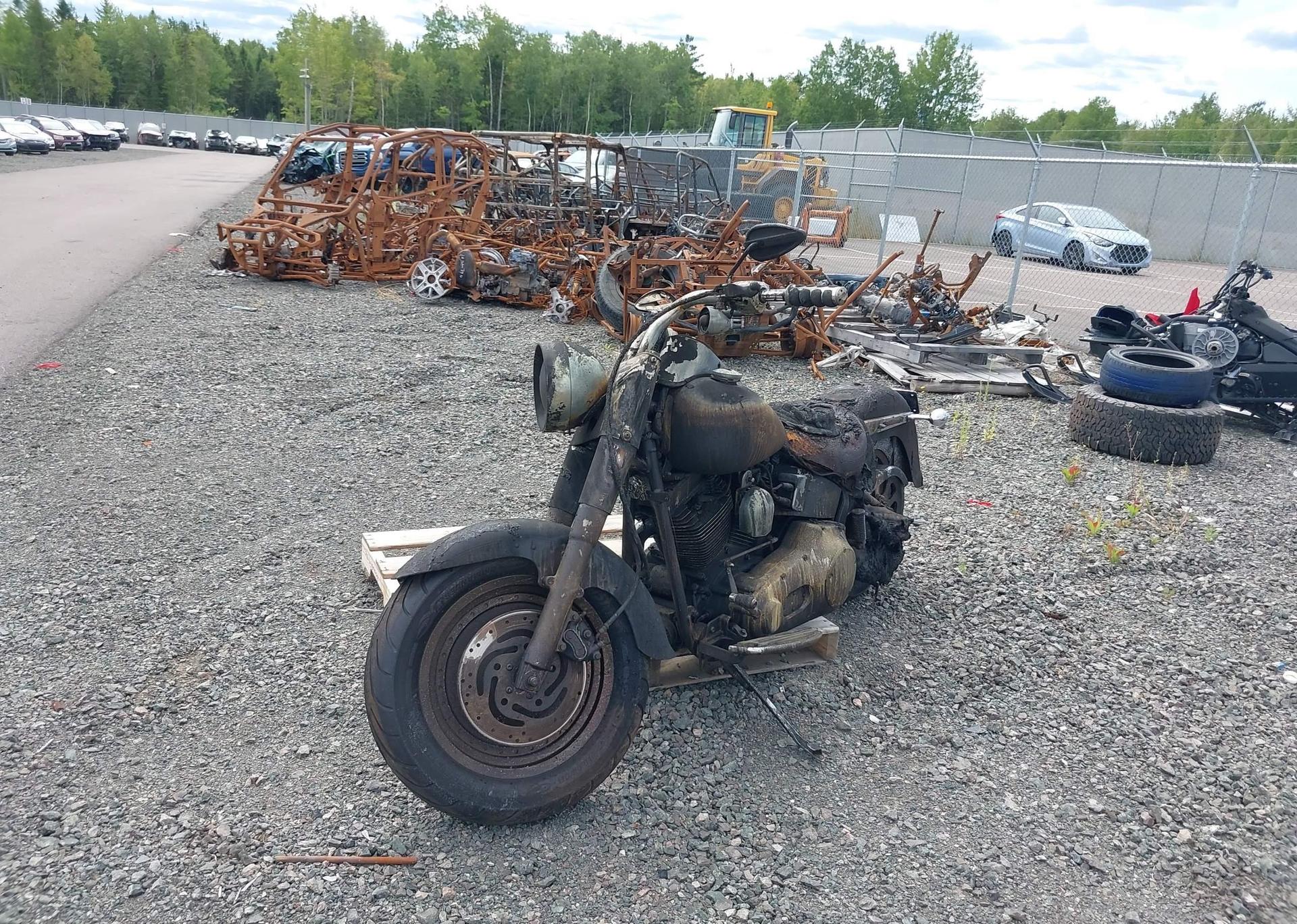 2002 HARLEY-DAVIDSON FLSTF