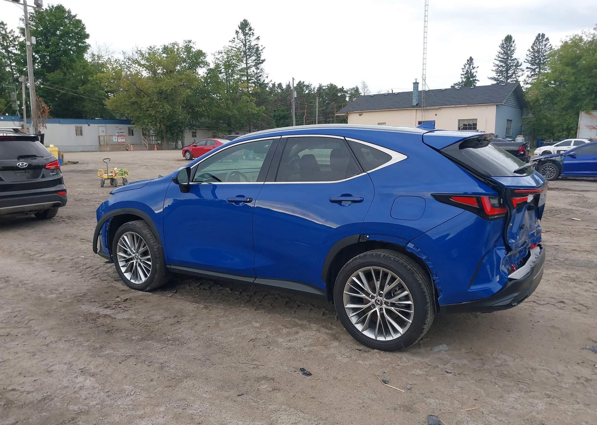 2024 LEXUS NX 350H