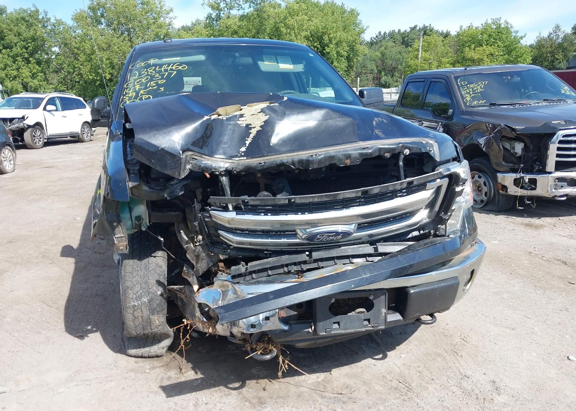 2014 FORD F-150 XLT