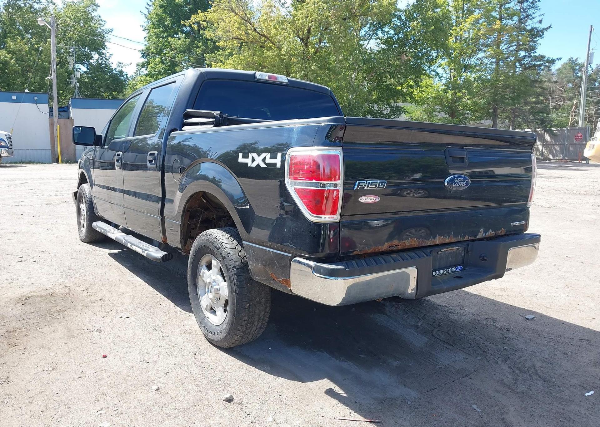 2014 FORD F-150 XLT