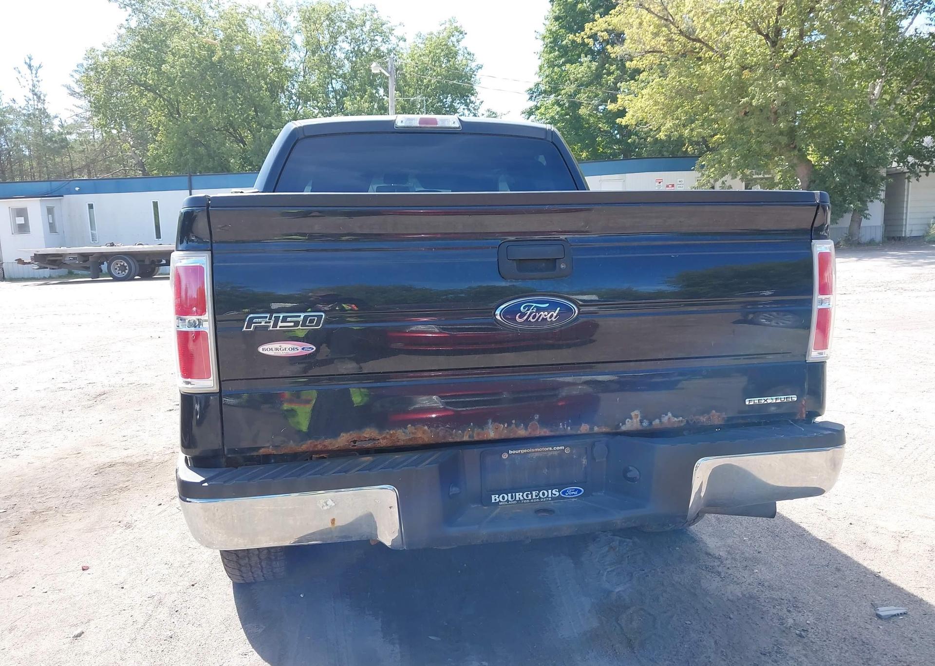 2014 FORD F-150 XLT