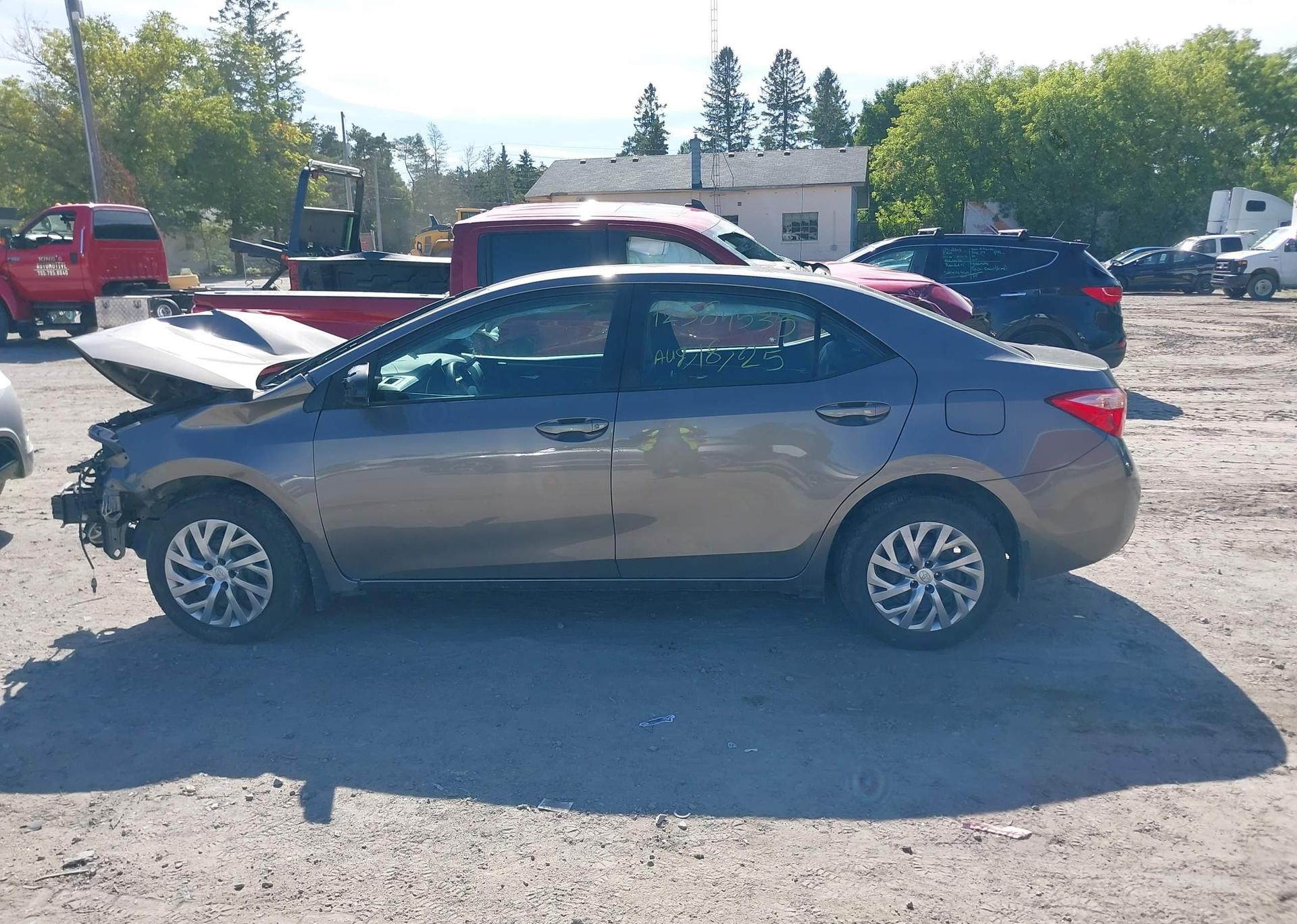2019 TOYOTA COROLLA LE