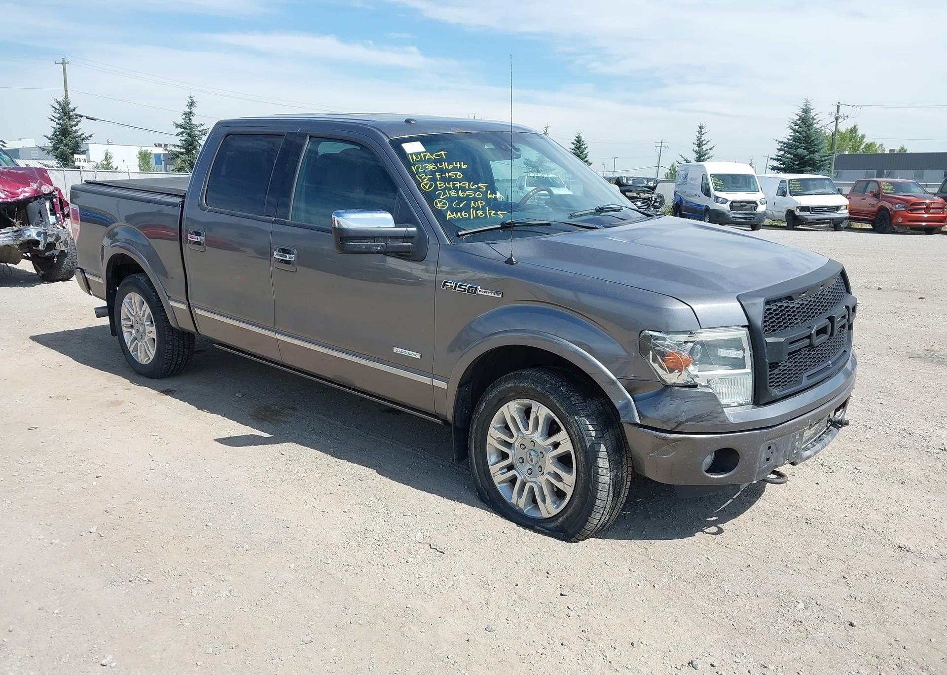 2013 FORD F-150 PLATINUM