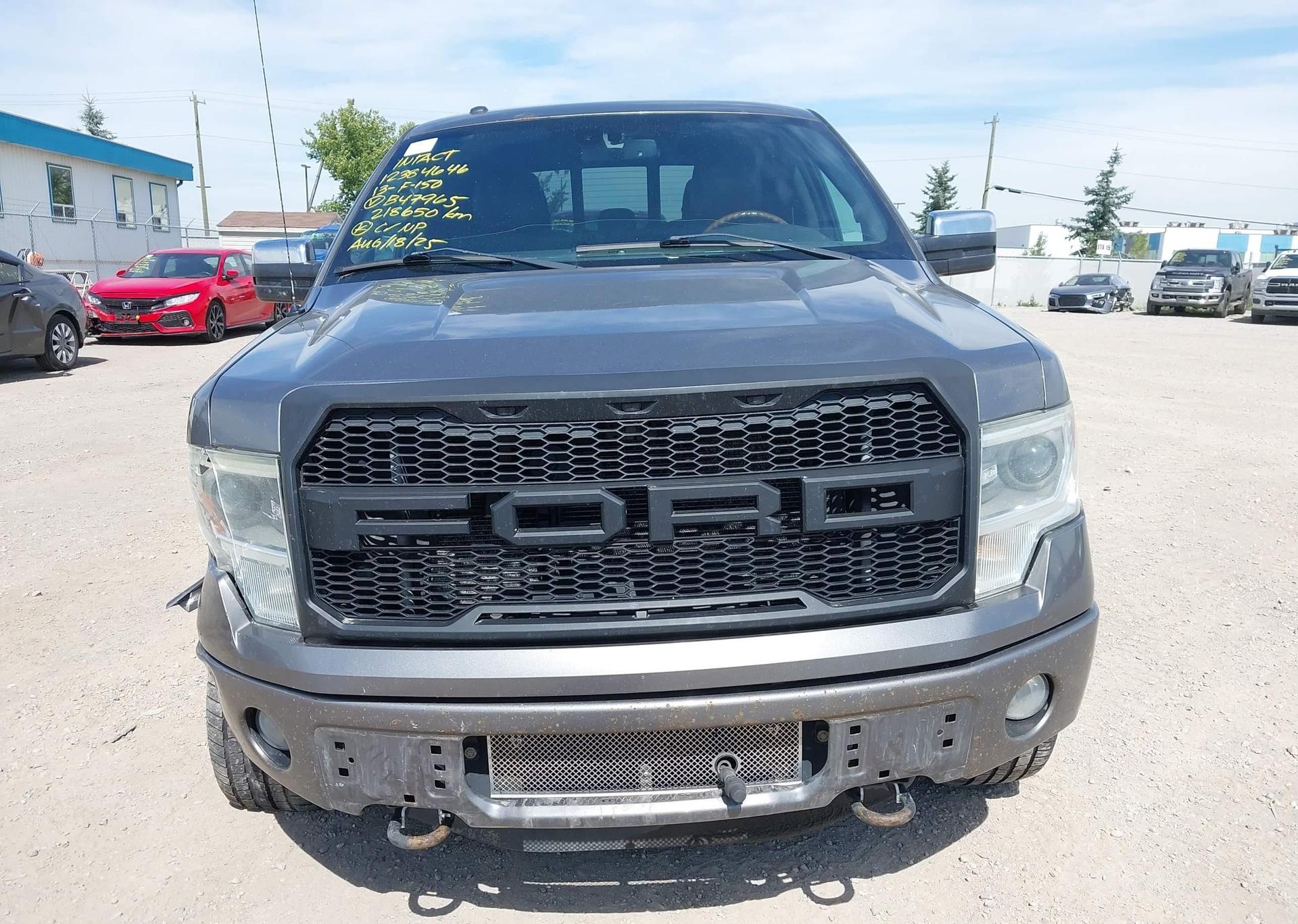 2013 FORD F-150 PLATINUM