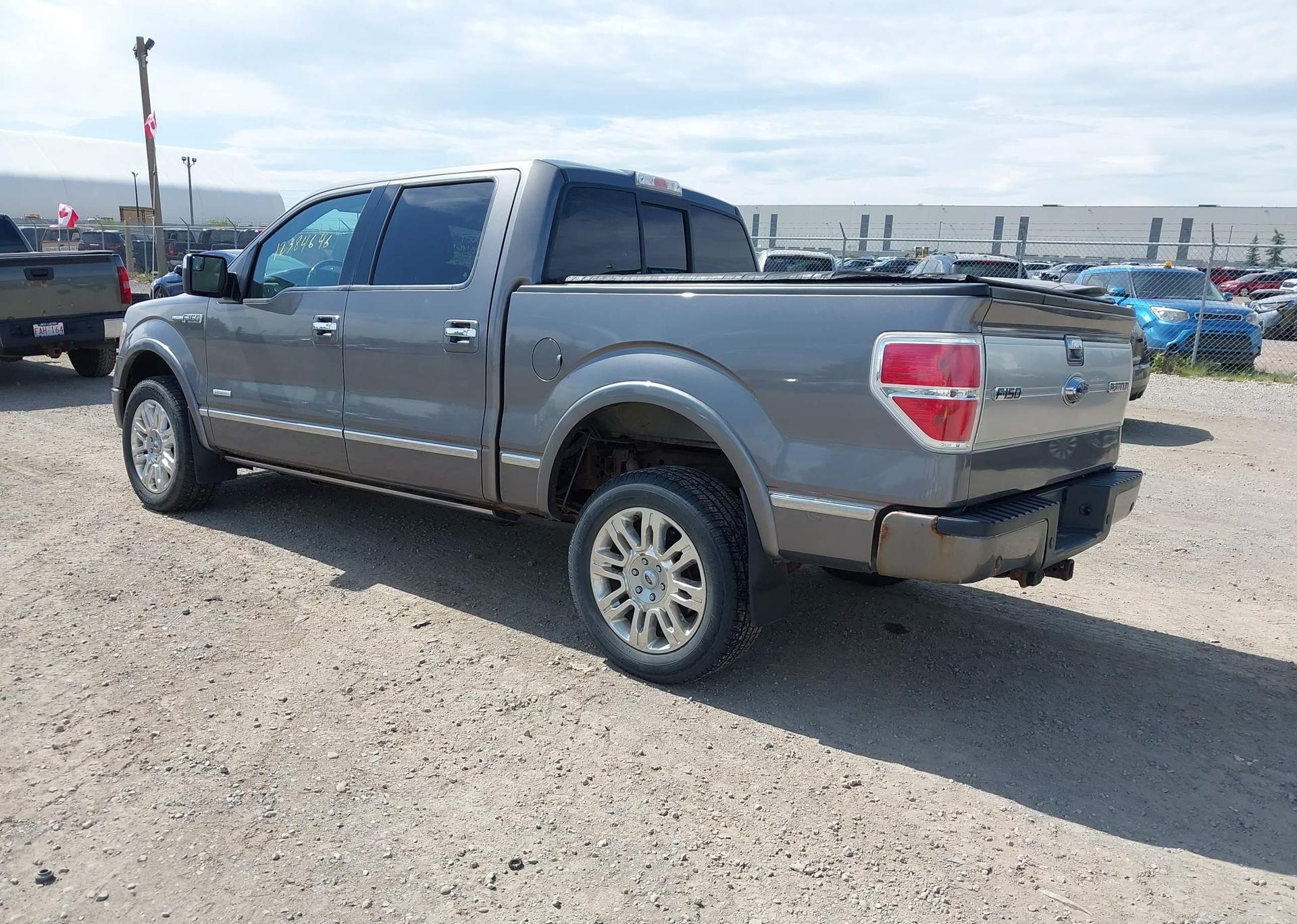 2013 FORD F-150 PLATINUM