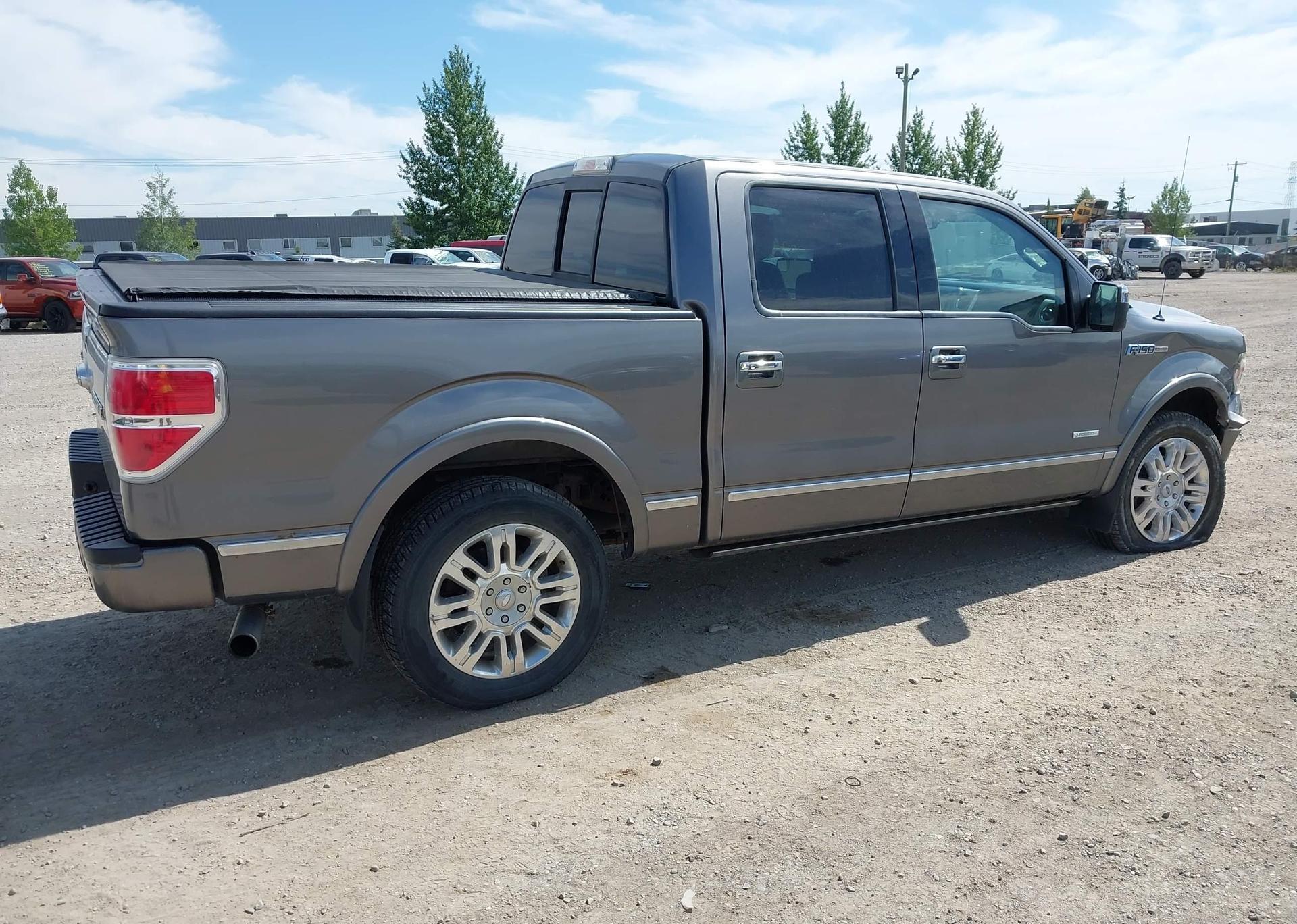 2013 FORD F-150 PLATINUM