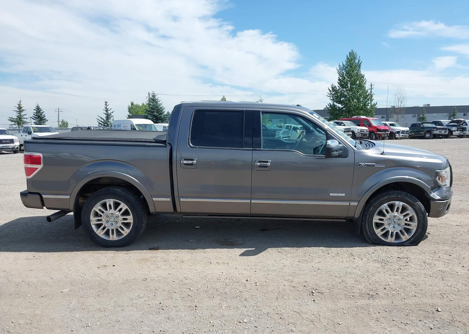 2013 FORD F-150 PLATINUM