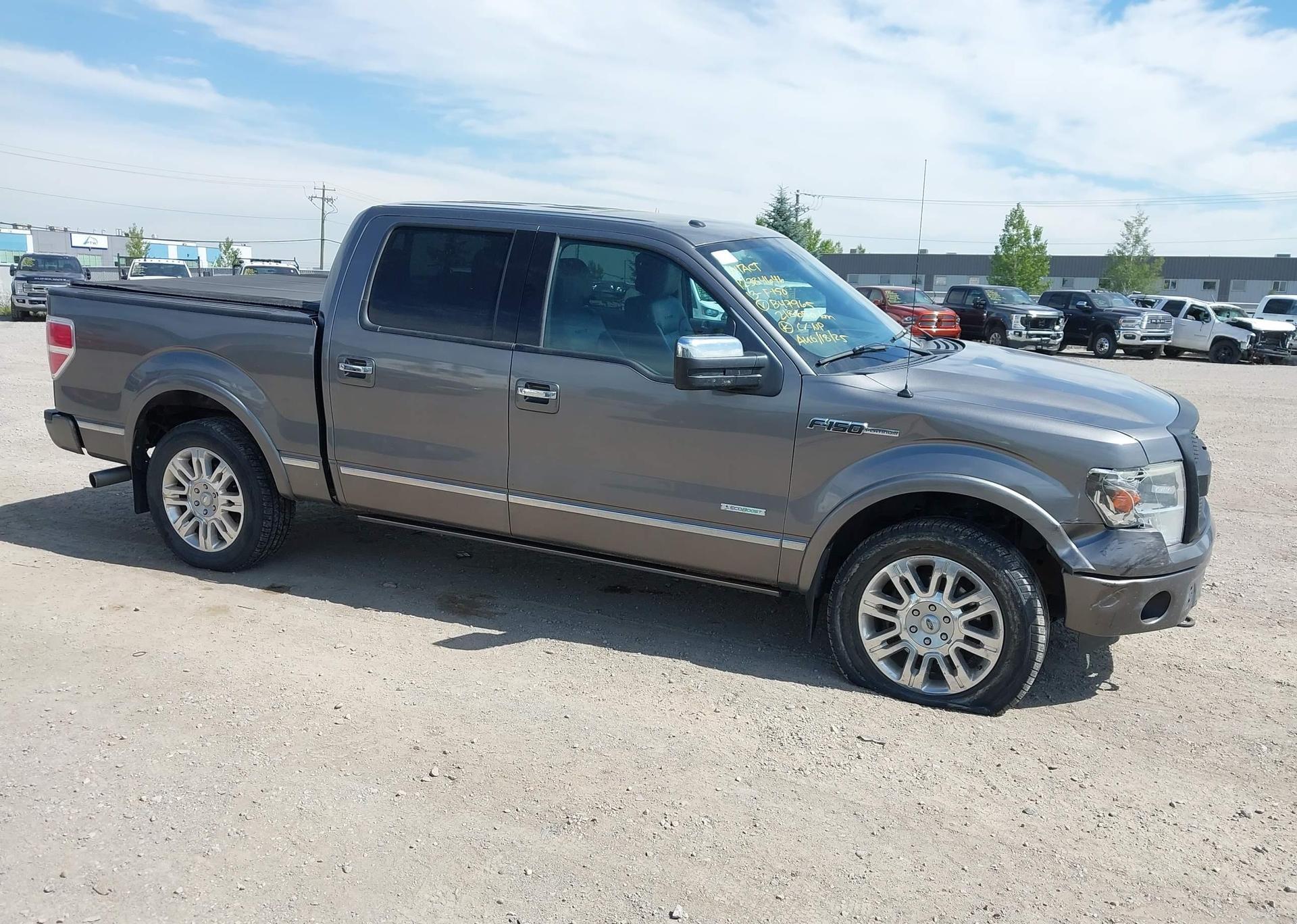 2013 FORD F-150 PLATINUM