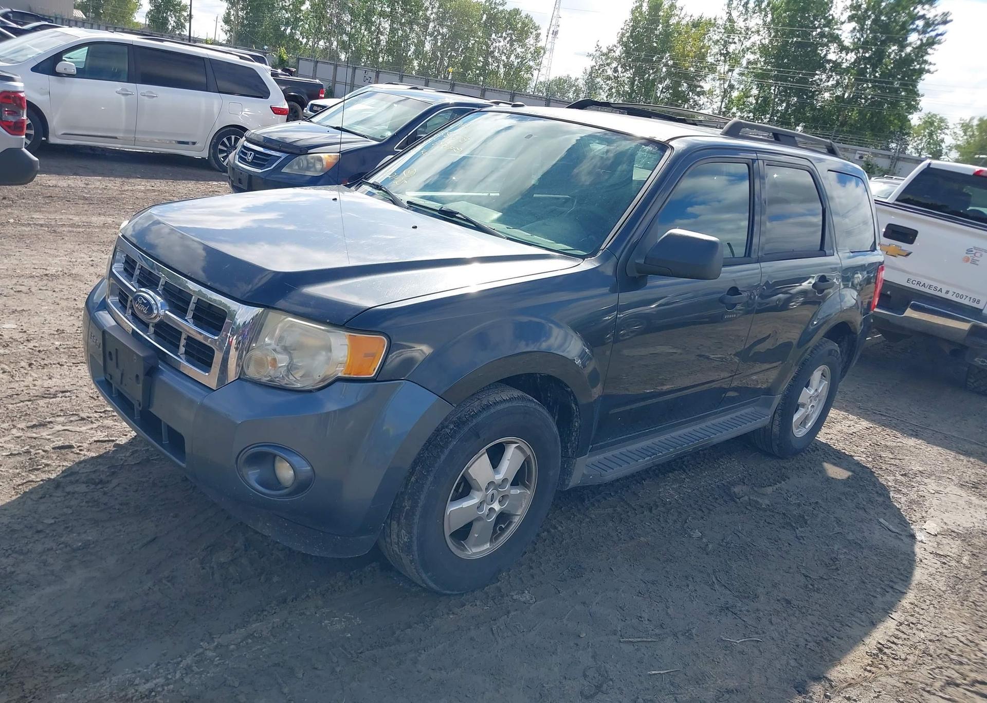 2009 FORD ESCAPE XLT