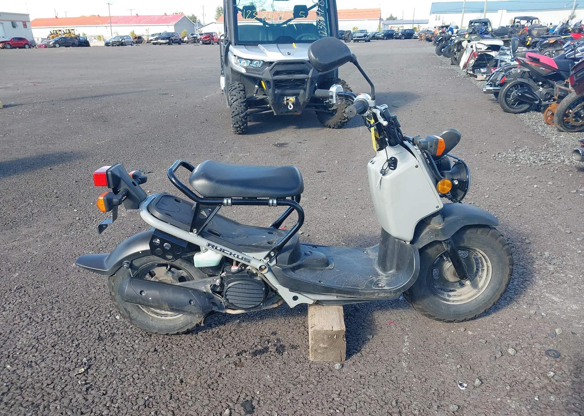 2023 HONDA NPS50