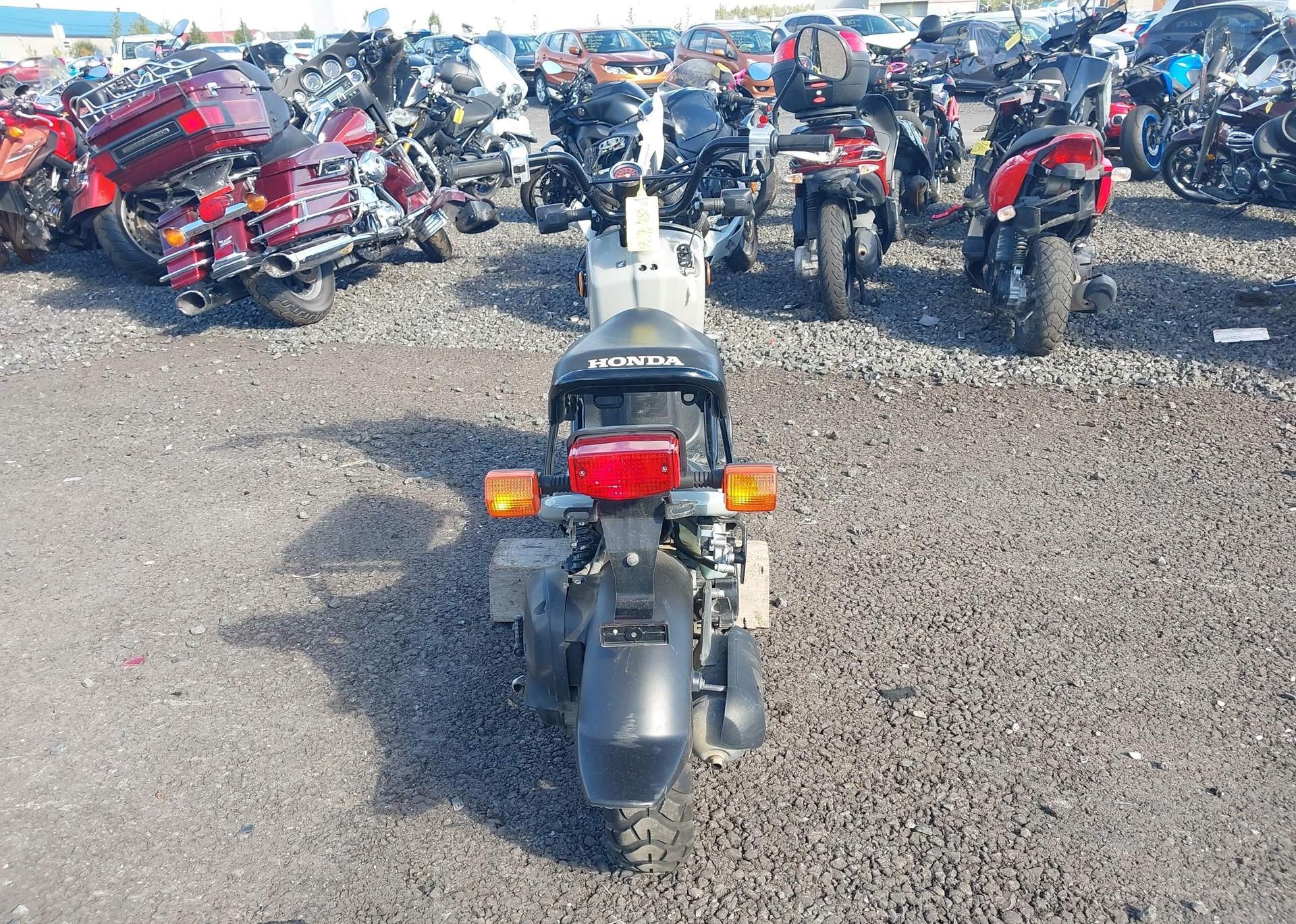 2023 HONDA NPS50