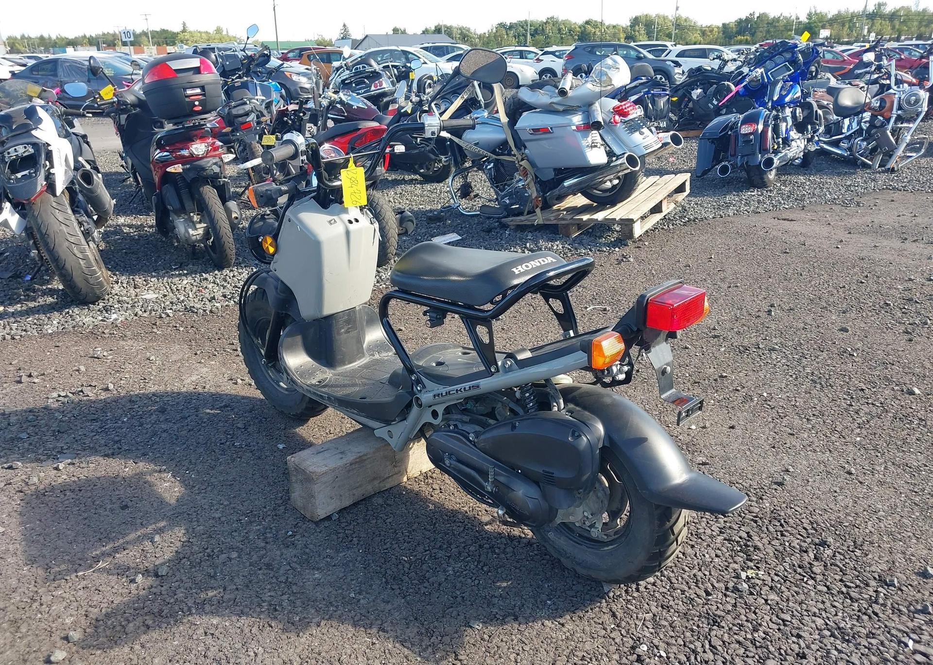 2023 HONDA NPS50