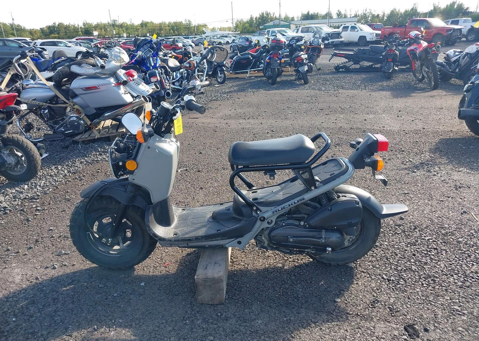 2023 HONDA NPS50