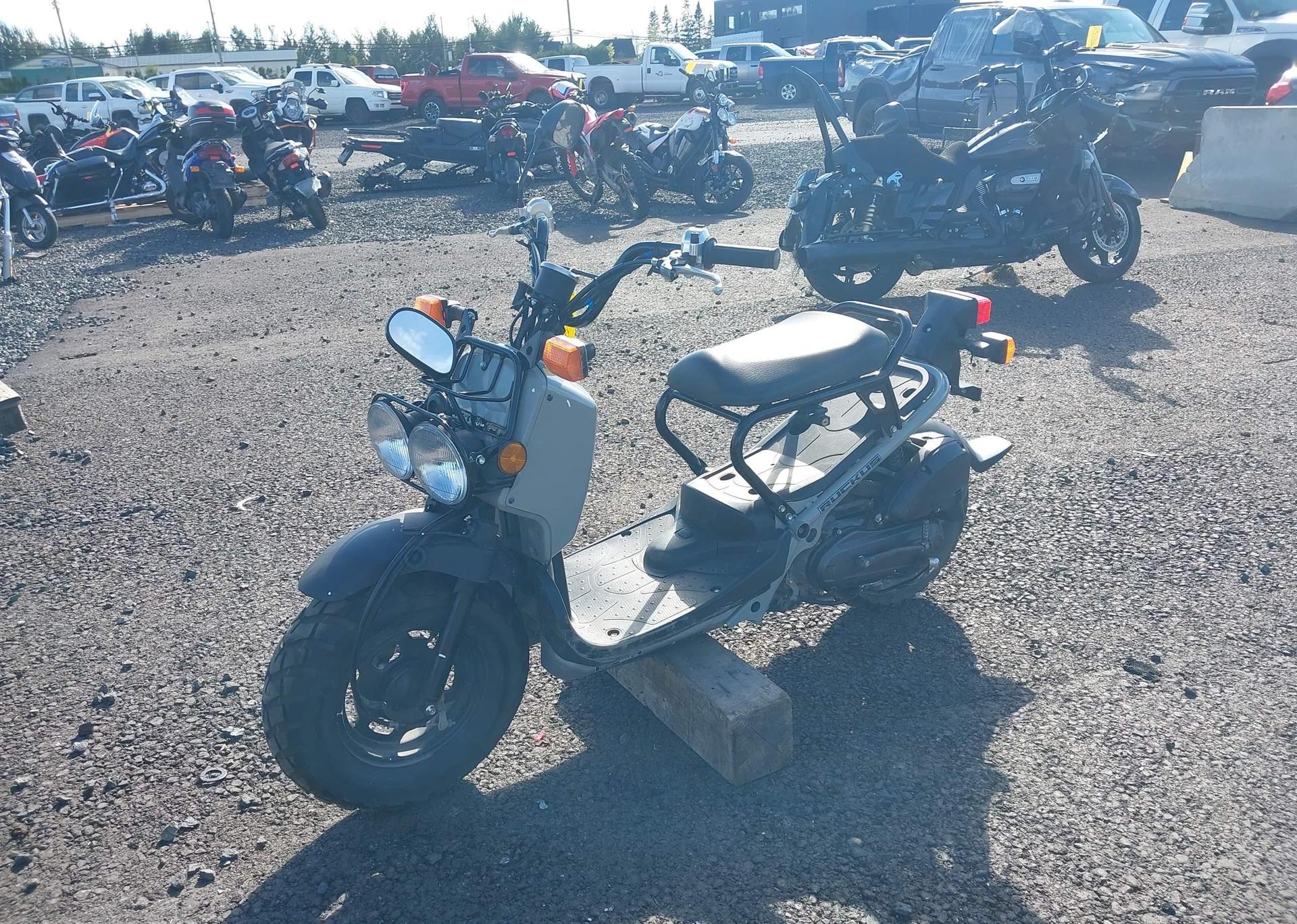 2023 HONDA NPS50