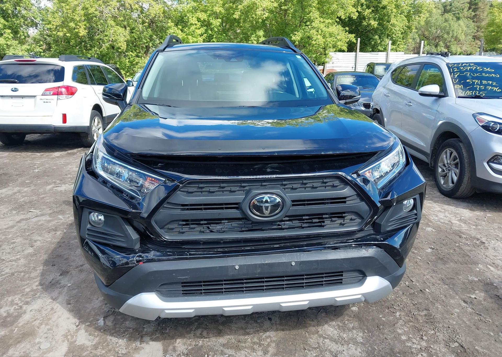 2019 TOYOTA RAV4 ADVENTURE