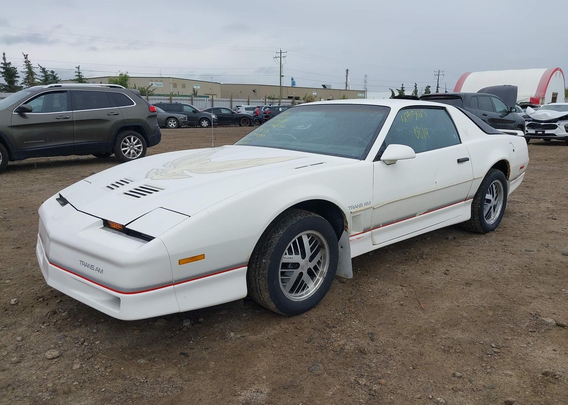 1986 PONTIAC FIREBIRD TRANS AM