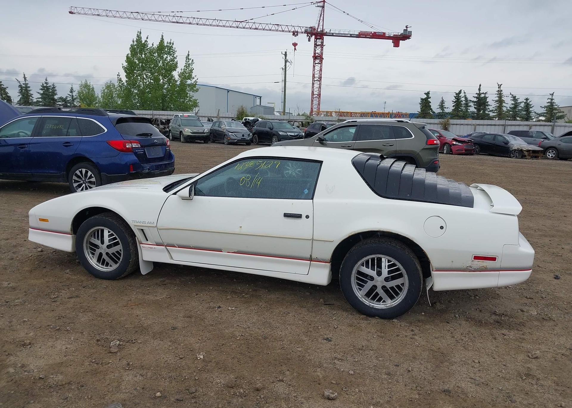 1986 PONTIAC FIREBIRD TRANS AM