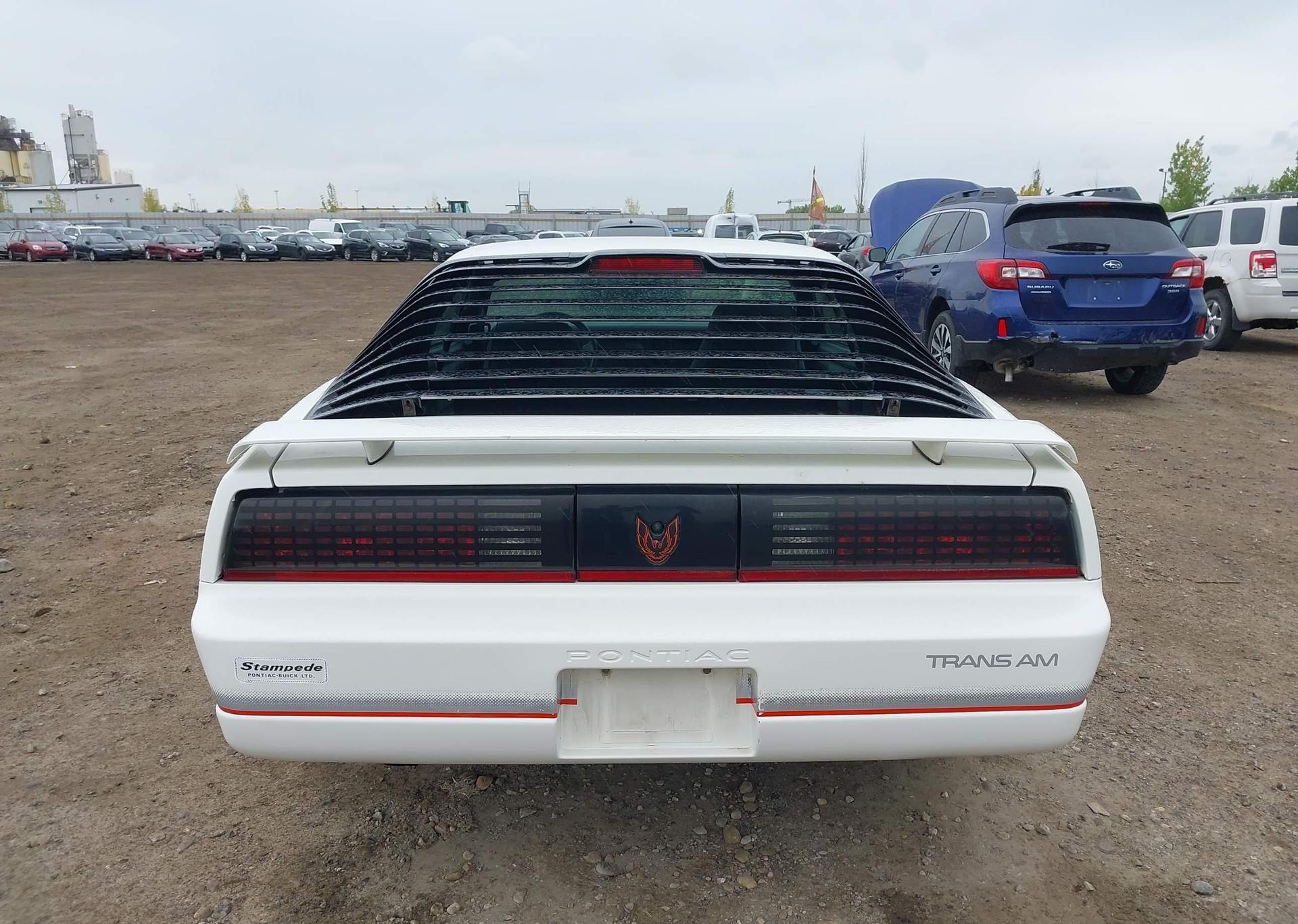 1986 PONTIAC FIREBIRD TRANS AM