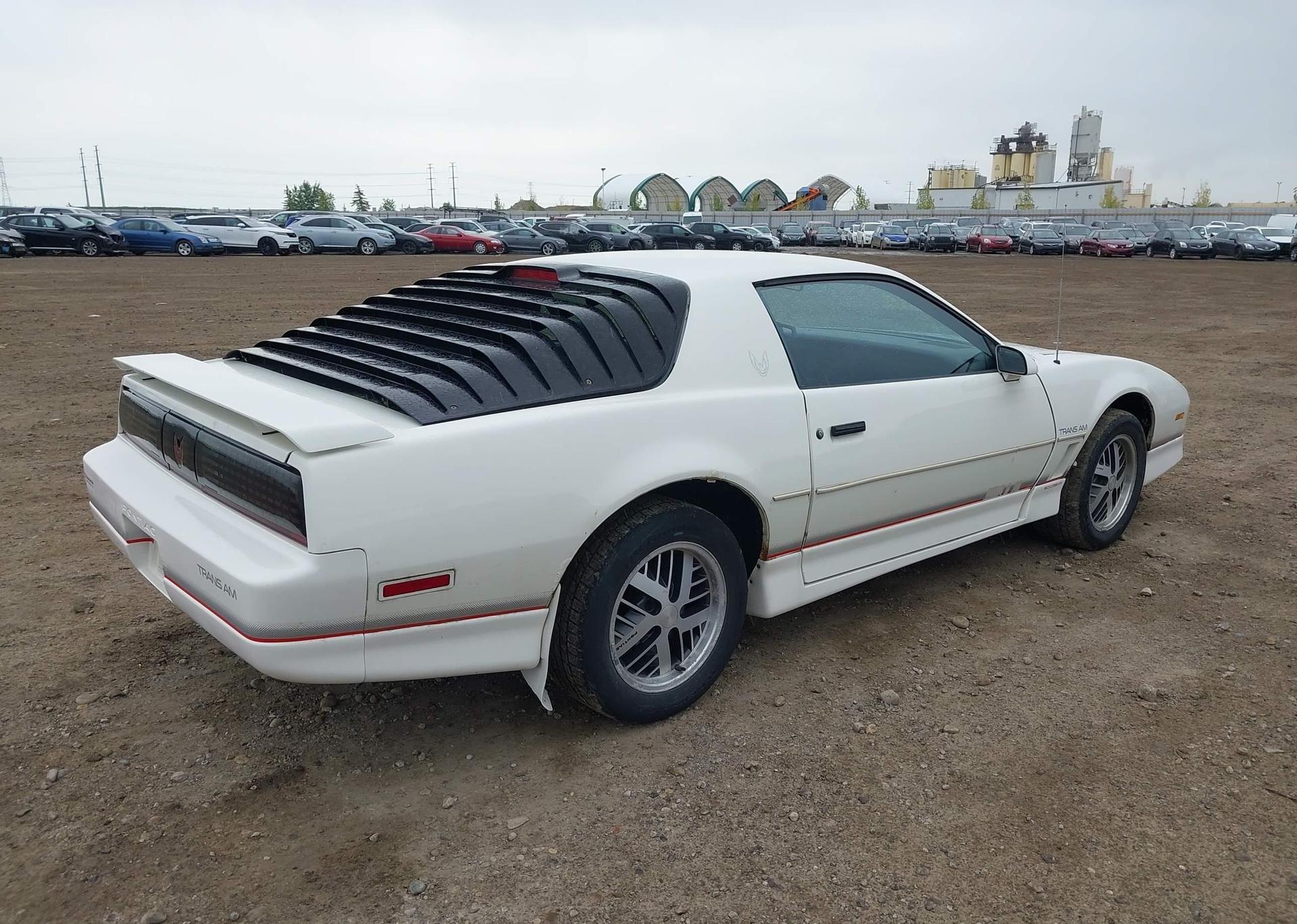 1986 PONTIAC FIREBIRD TRANS AM
