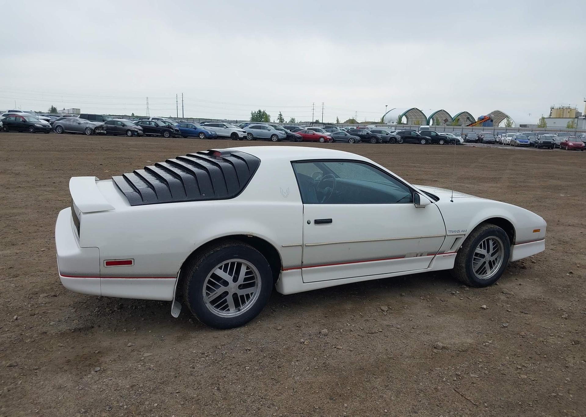 1986 PONTIAC FIREBIRD TRANS AM
