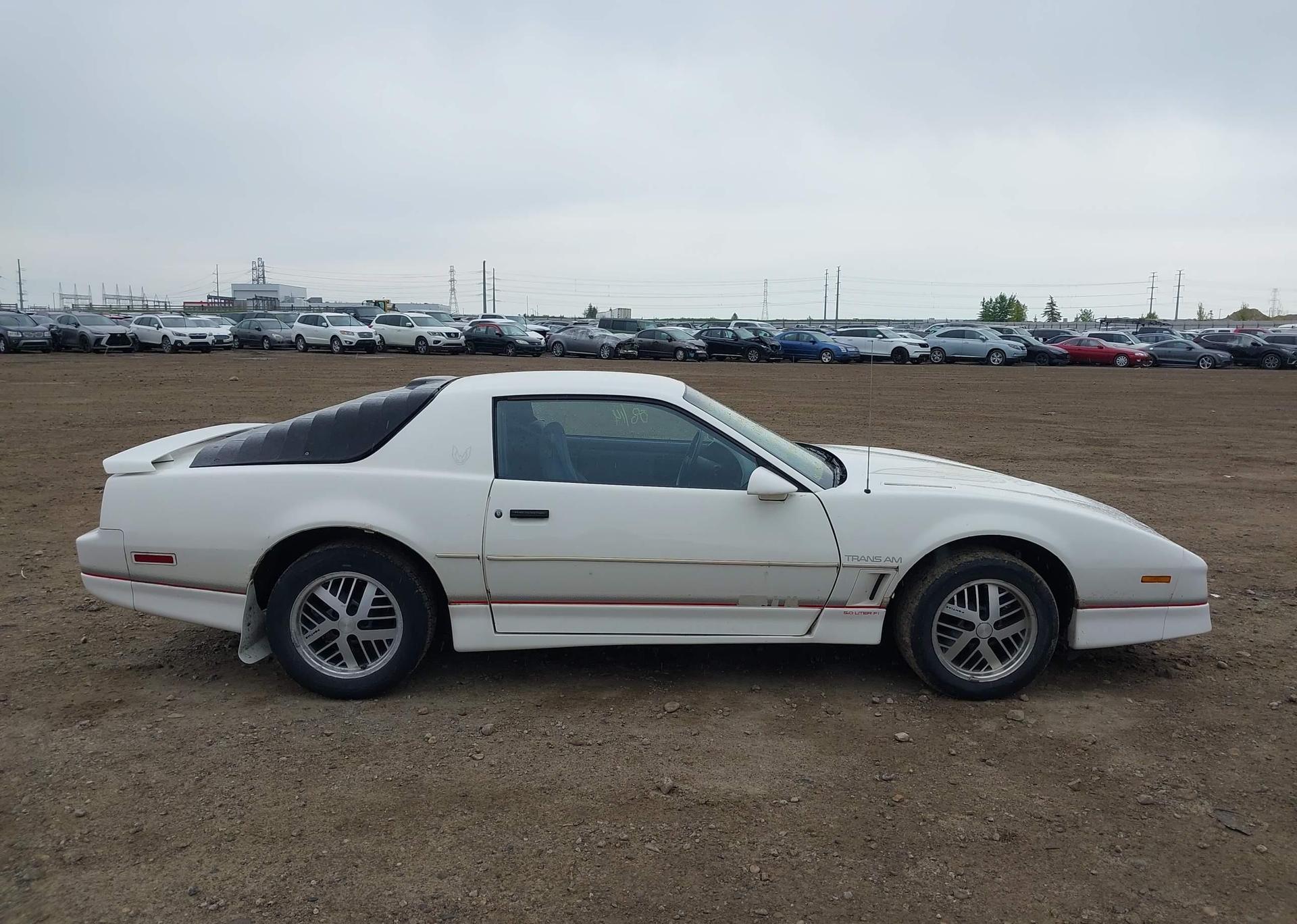 1986 PONTIAC FIREBIRD TRANS AM