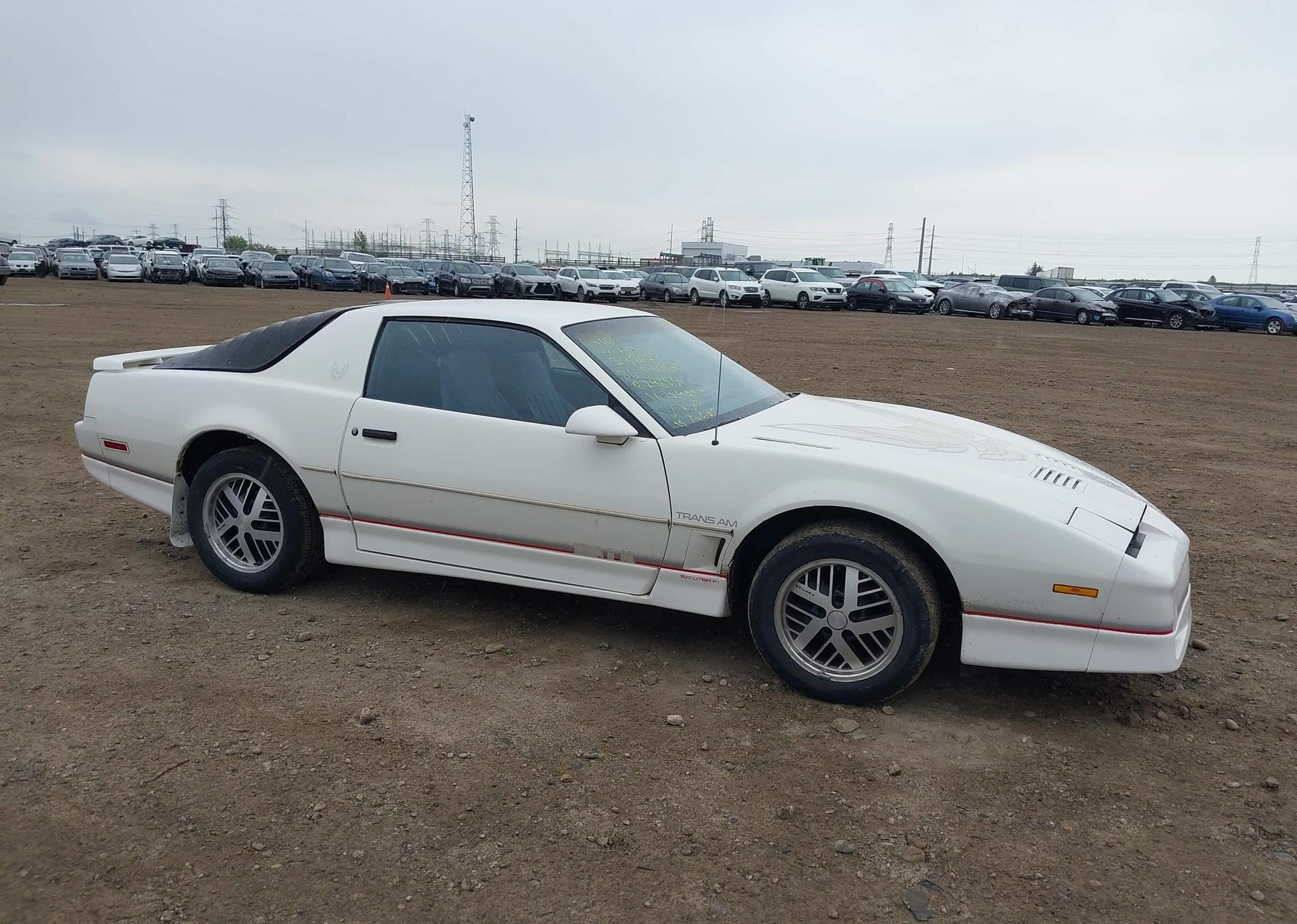1986 PONTIAC FIREBIRD TRANS AM