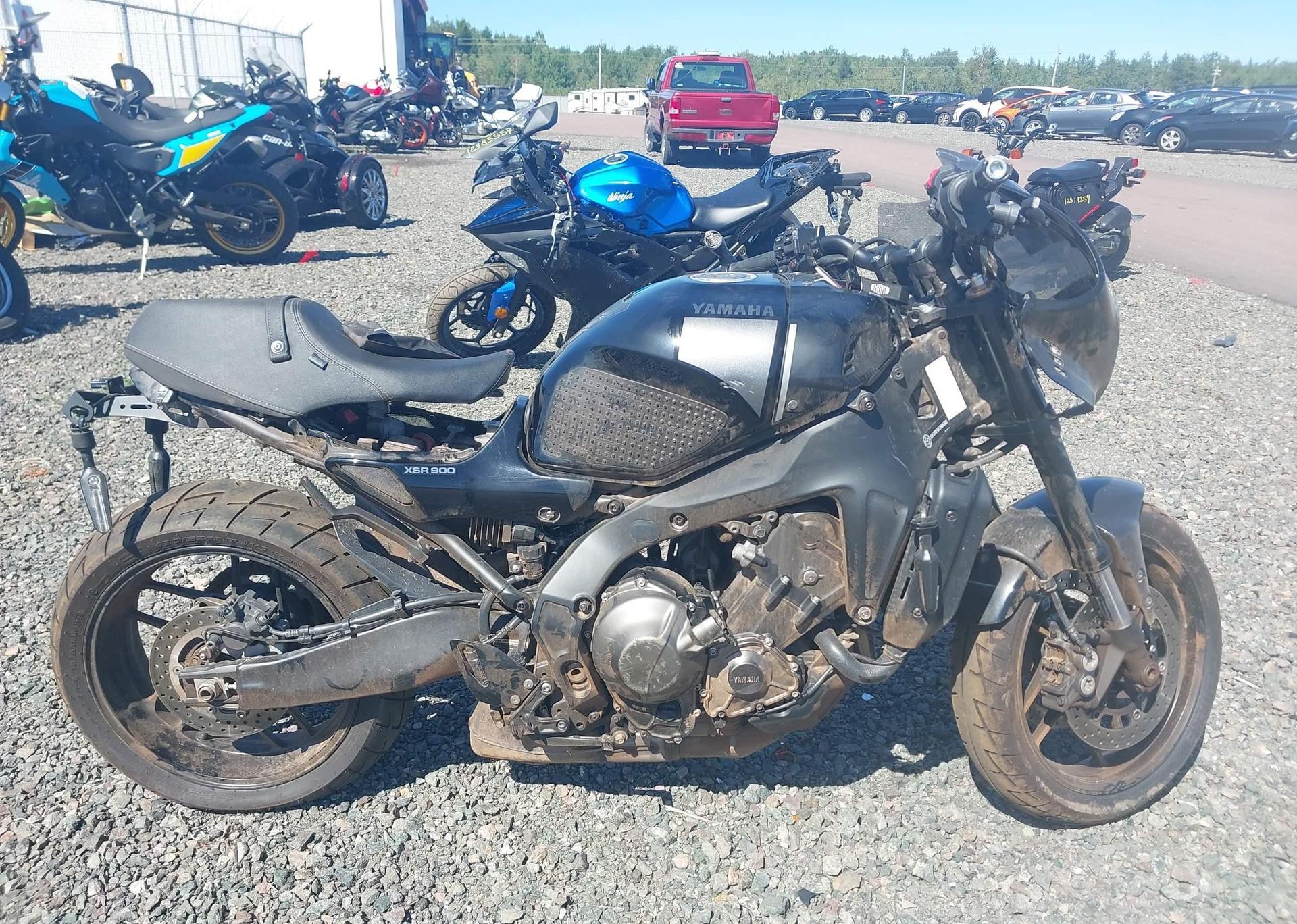 2024 YAMAHA XSR900