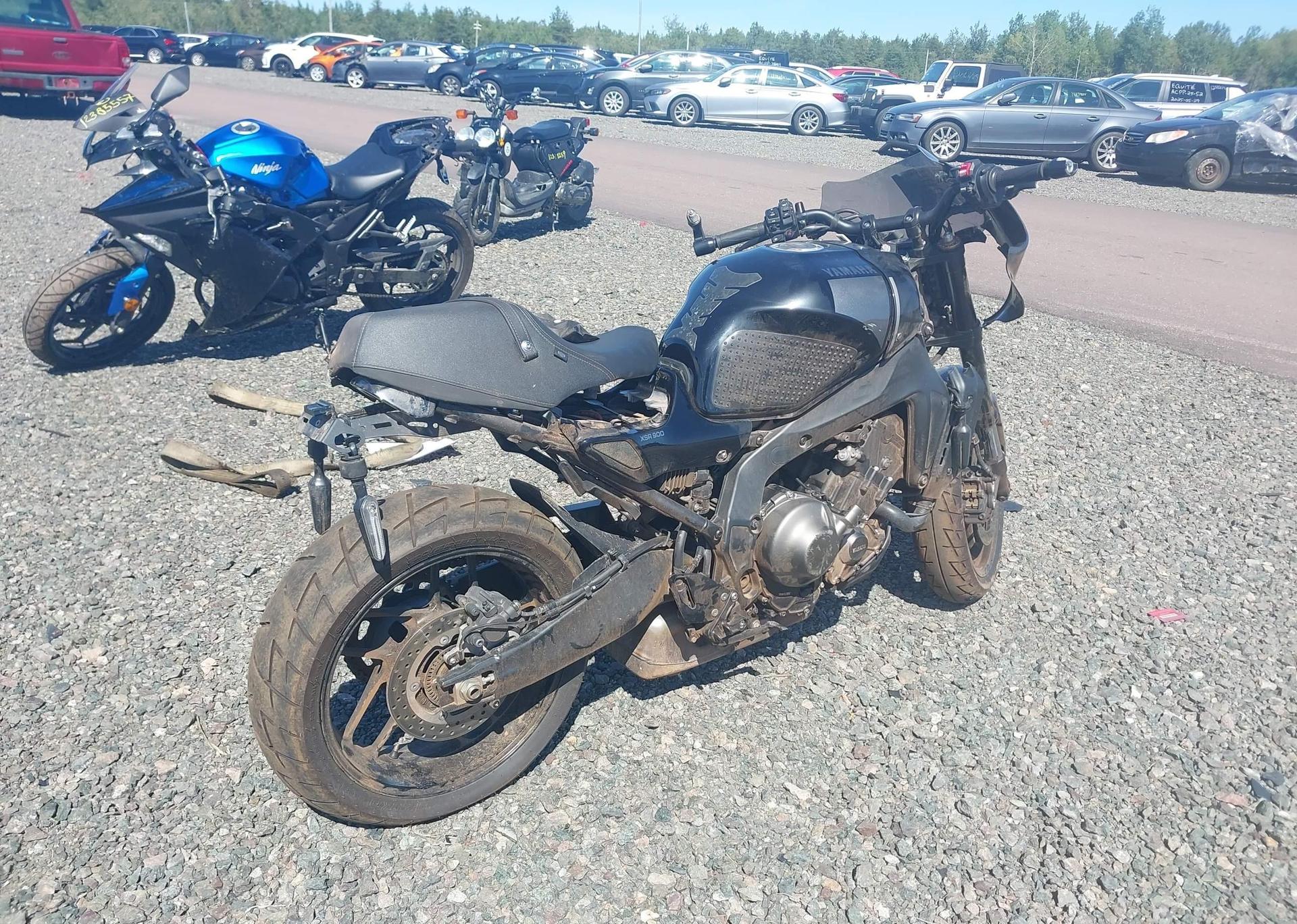 2024 YAMAHA XSR900