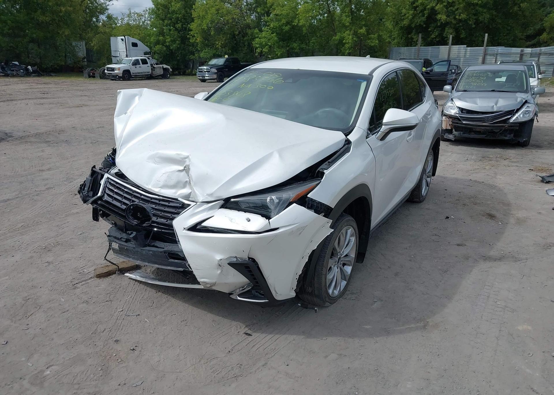 2019 LEXUS NX 300