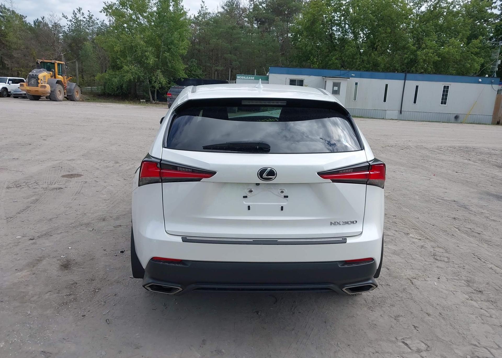 2019 LEXUS NX 300