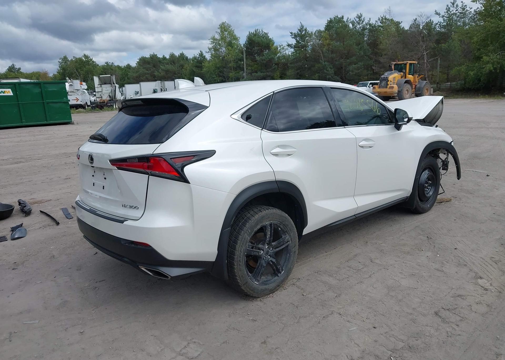 2019 LEXUS NX 300