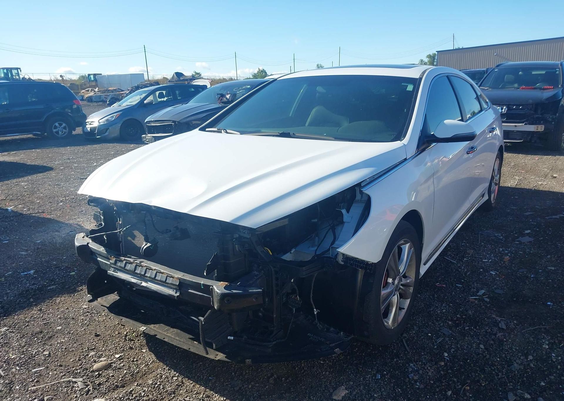 2019 HYUNDAI SONATA ESSENTIAL