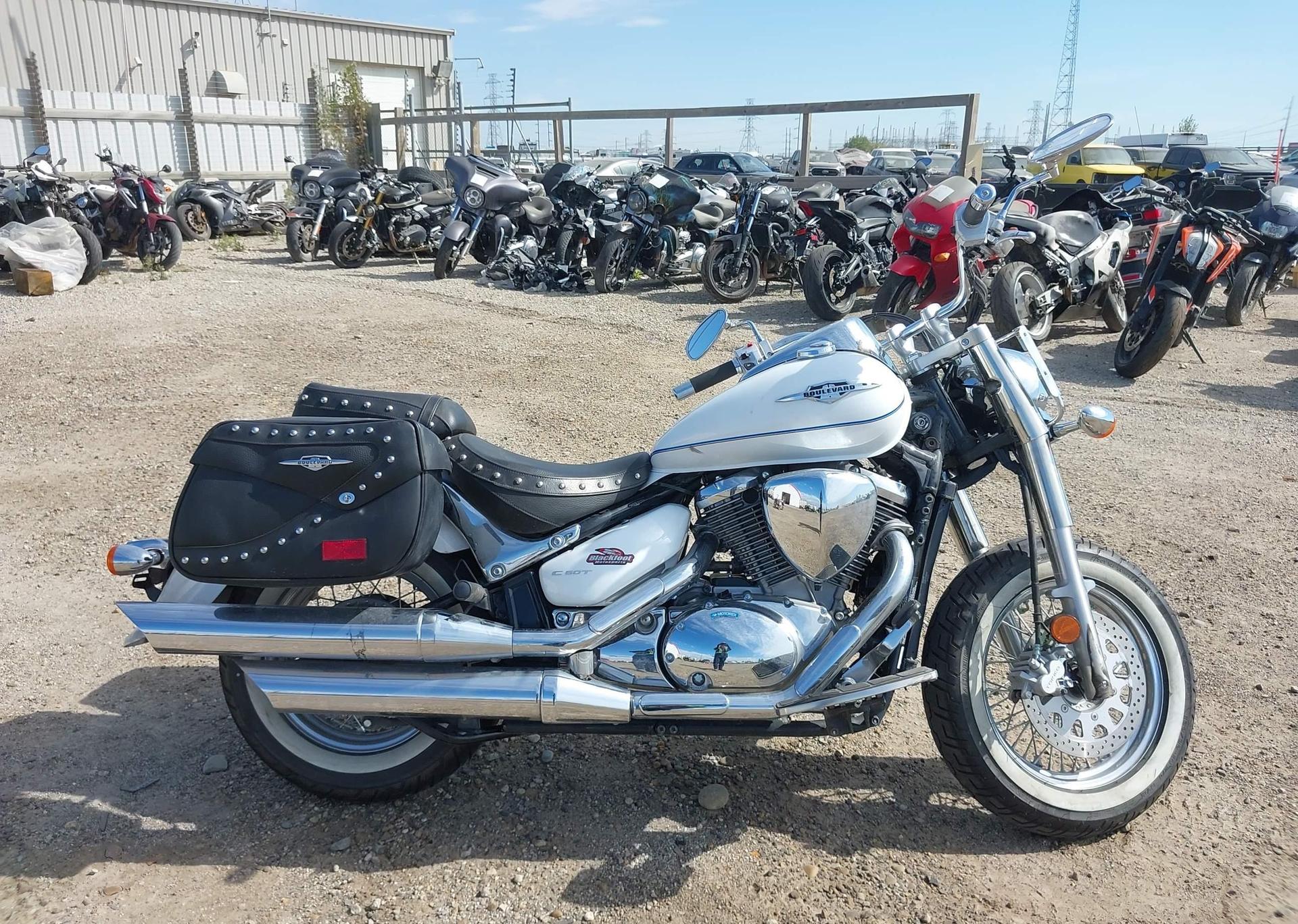 2022 SUZUKI VL800 M