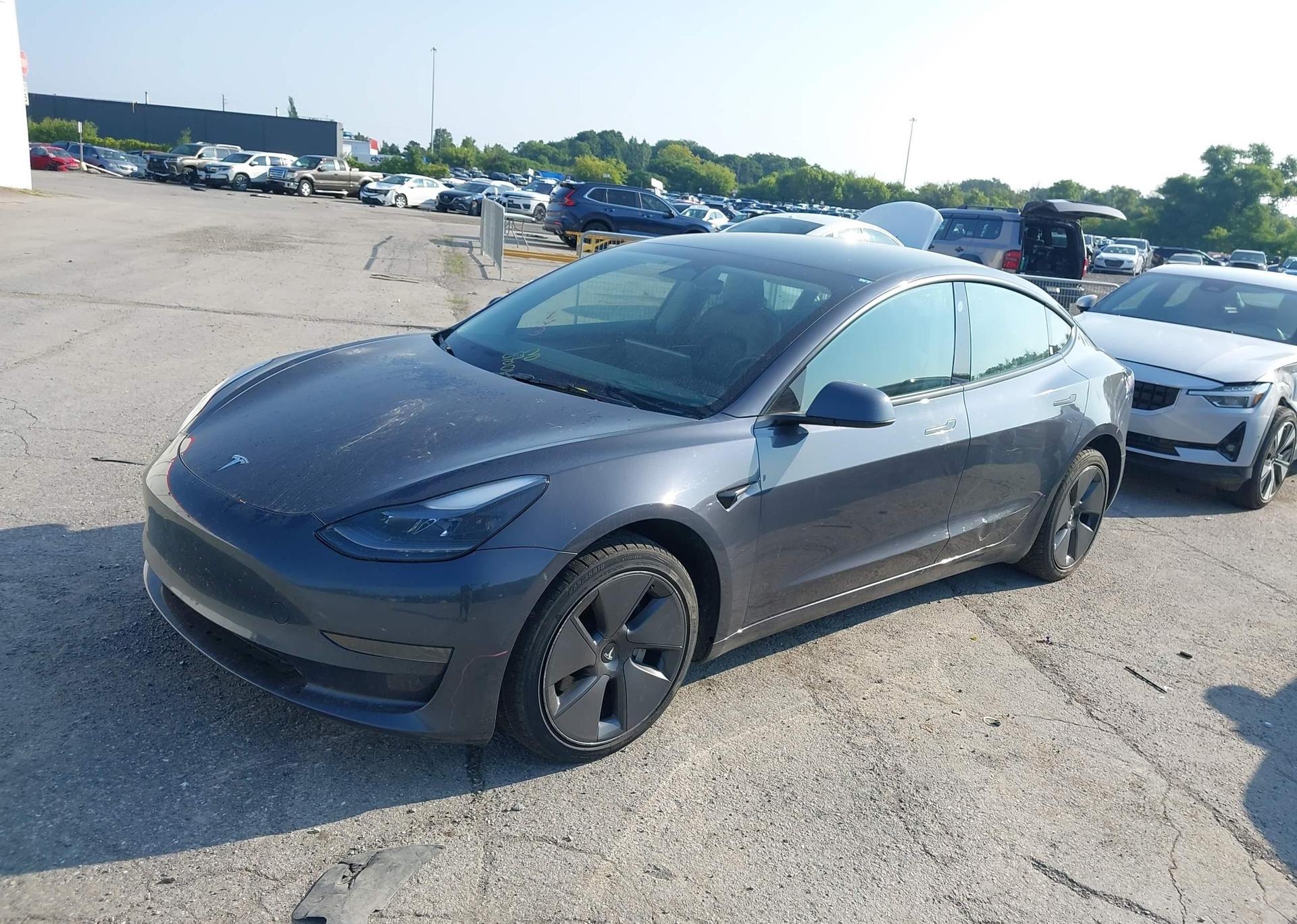 2023 TESLA MODEL 3 RWD
