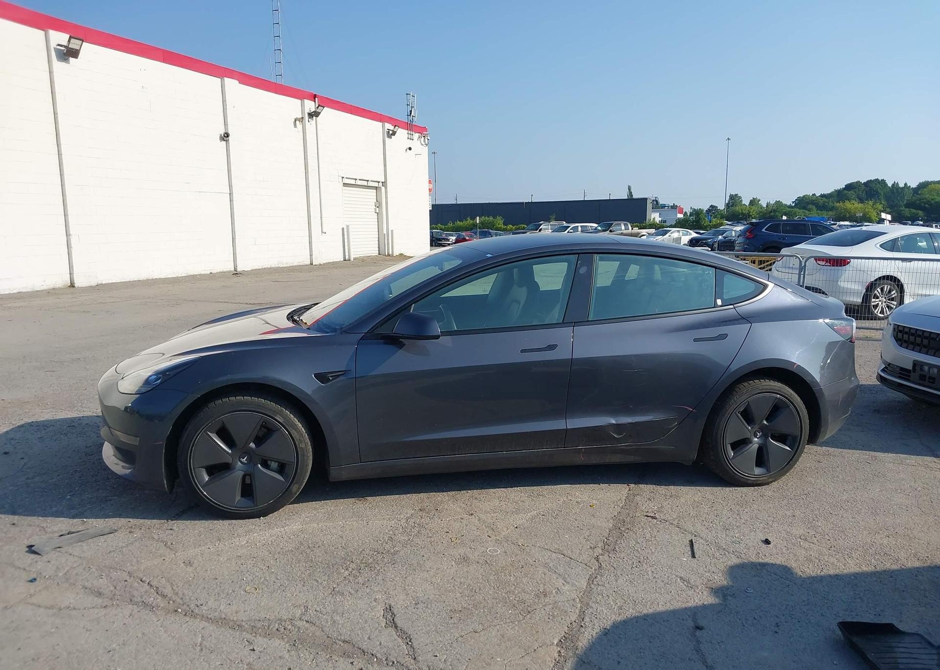 2023 TESLA MODEL 3 RWD