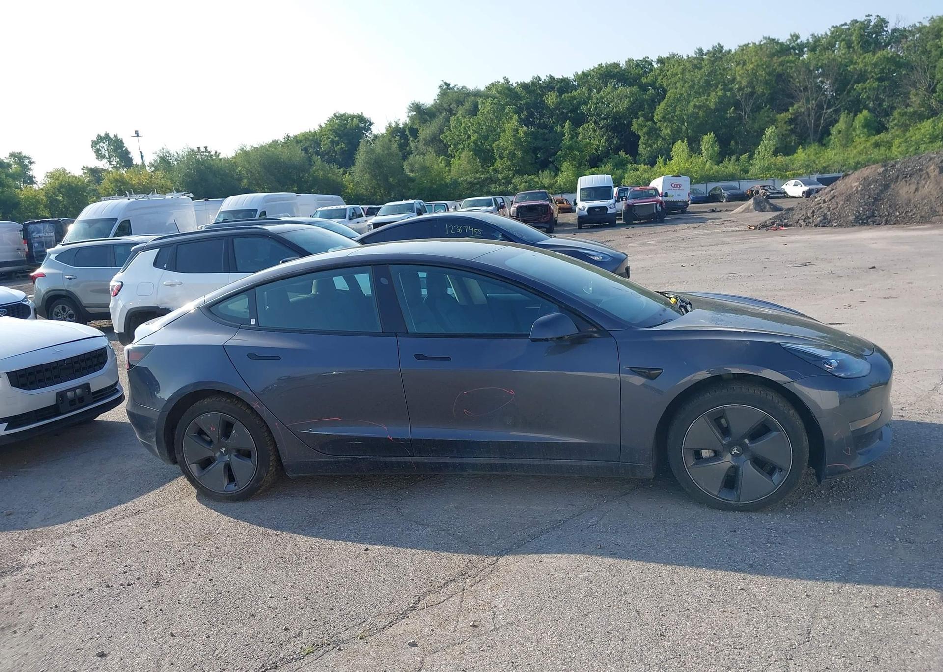 2023 TESLA MODEL 3 RWD