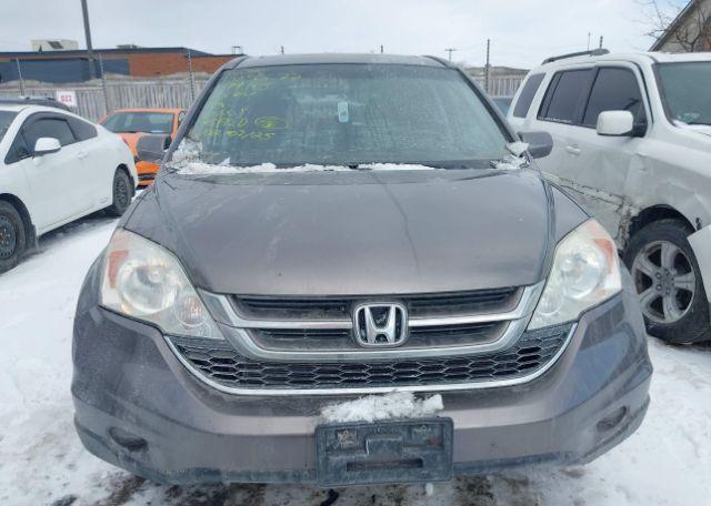 2011 HONDA CR-V EXL