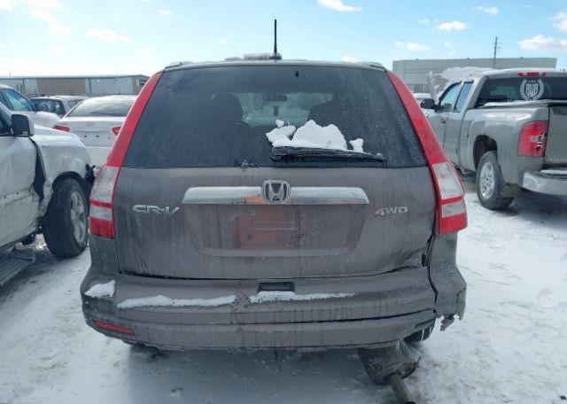 2011 HONDA CR-V EXL