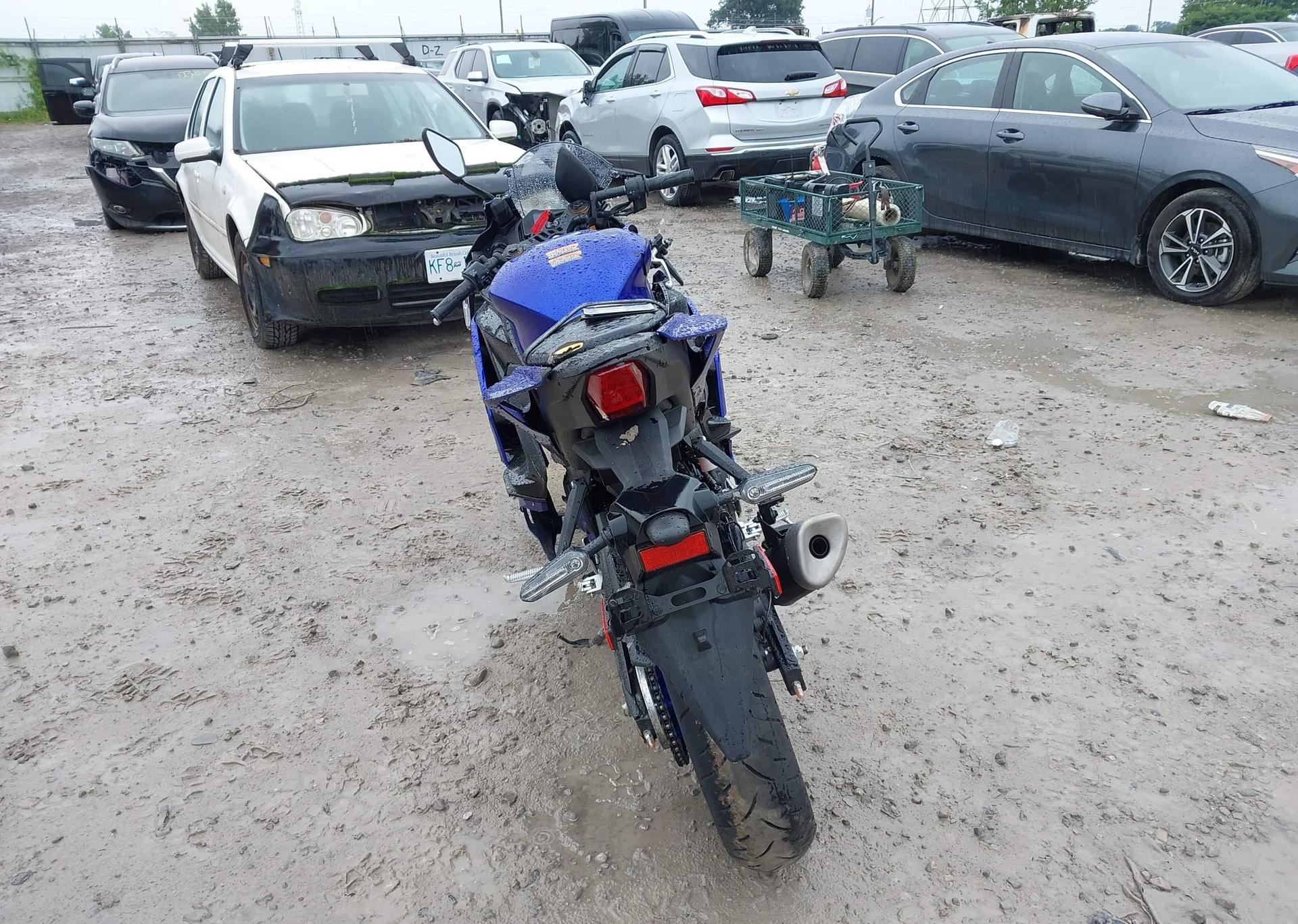 2025 YAMAHA YZF-R3